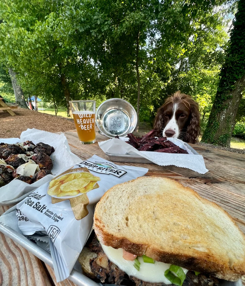 Dog at Wild Heaven Brewery