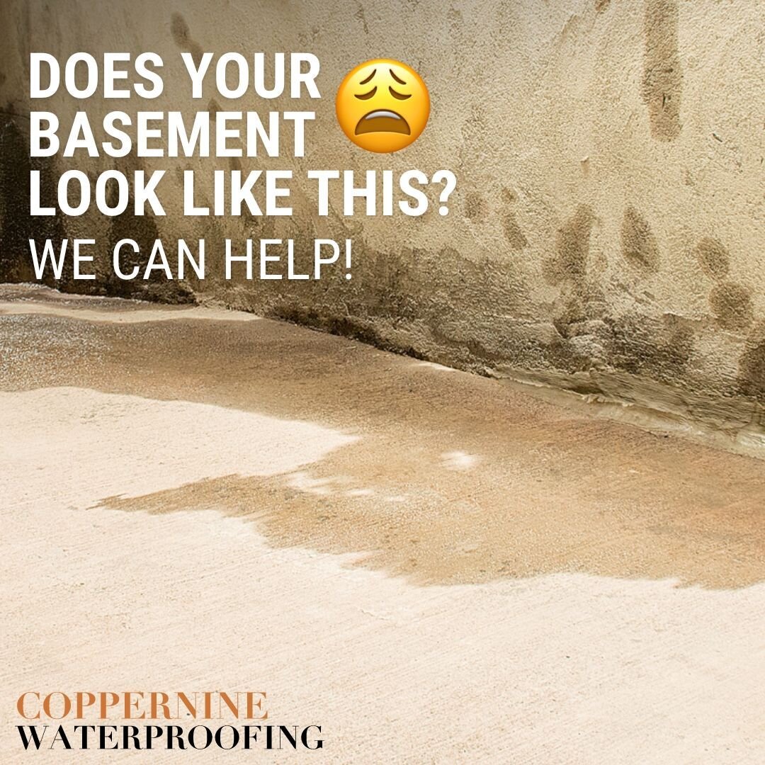 Struggling with basement issues? Don't worry, we've got you covered! At Coppernine, we specialize in turning damp and leaking basements into solid, dry foundations. Whether you need extra storage space or dream of transforming it into an additional l