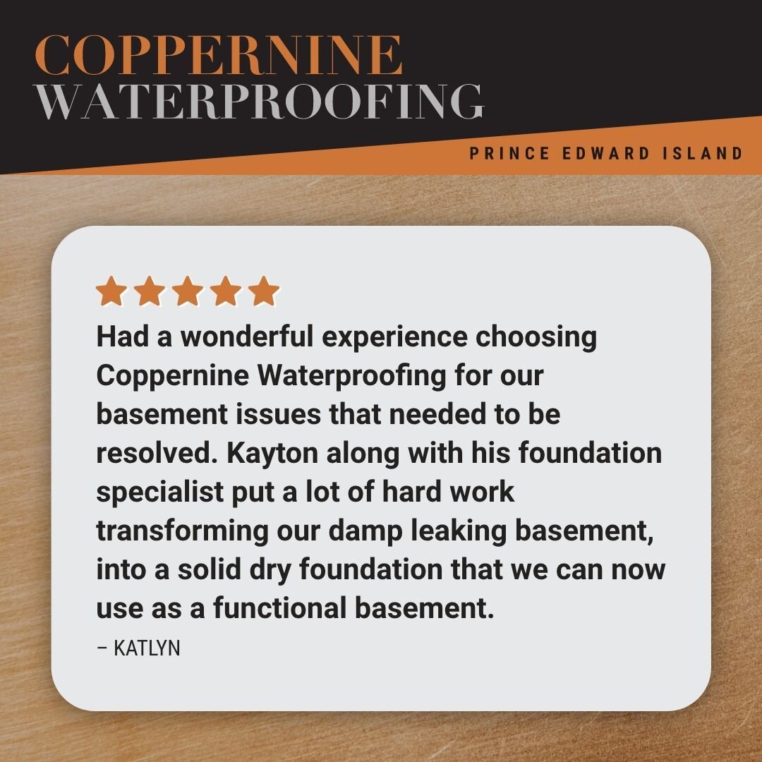 Katlyn M had problems with a damp basement - and we helped make it right. Thanks for the review Katlyn!