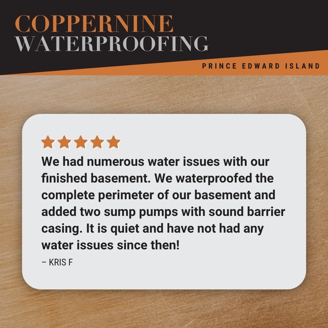 At Coppernine we find solutions for waterlogged basements - such as sump pumps with sound barrier casings and quiet check valves to keep things quiet. In this Google review, Kris F explained why he called Coppernine and how we helped.