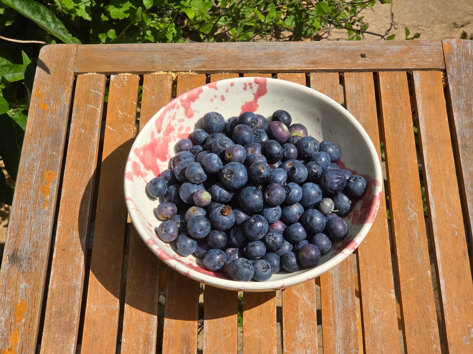210BF810-CCCF-462B-A4FD-27FBB336D33E.jpeg