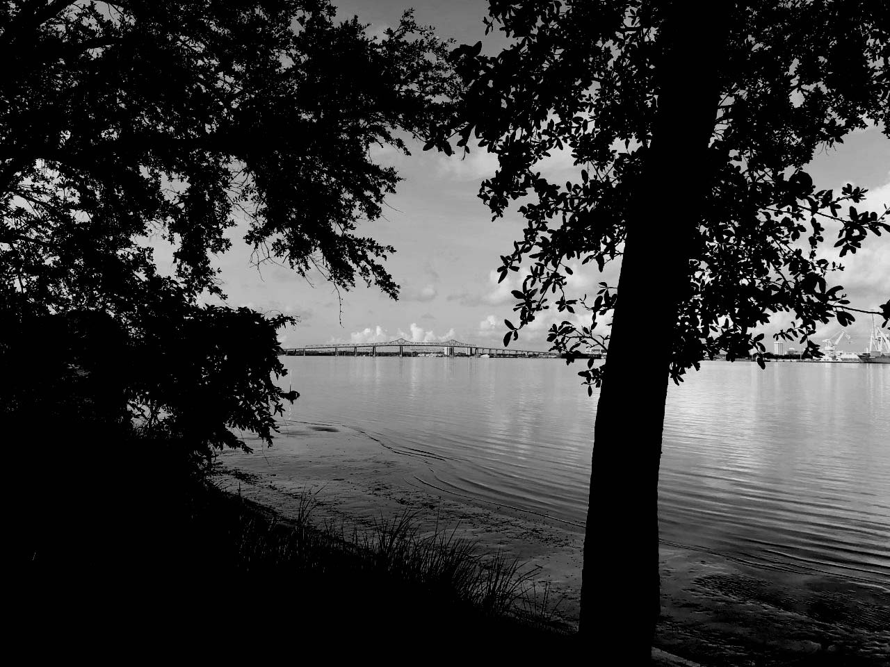 black-white.jpg
