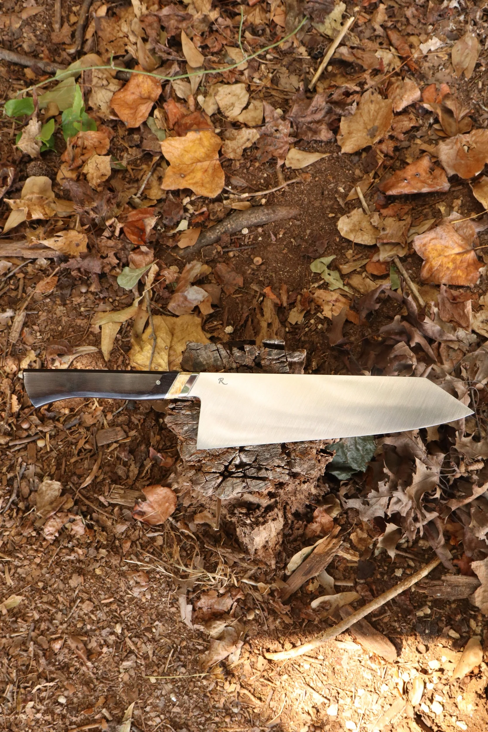 K tip Gyuto in Stainless (Masterline)