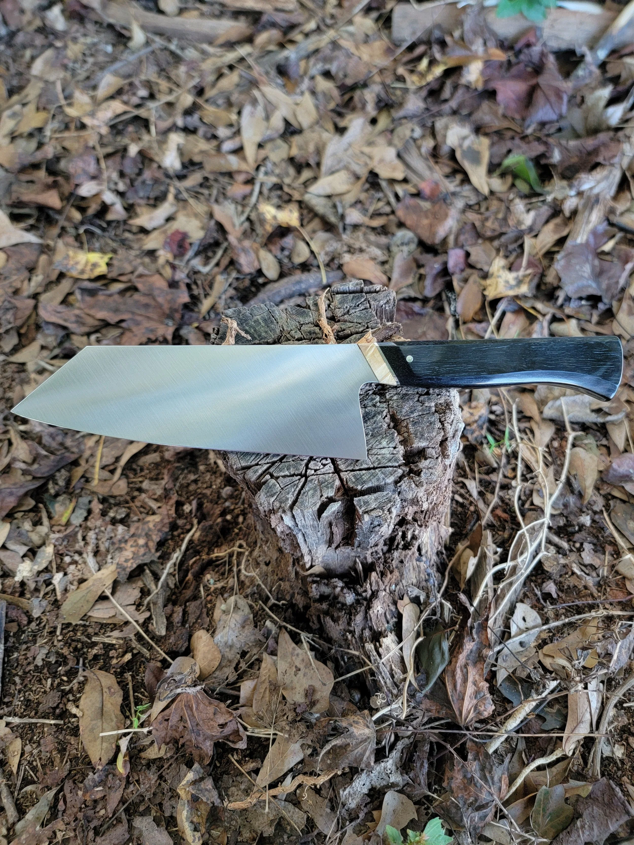 20251007_175113.jpg (Copy)