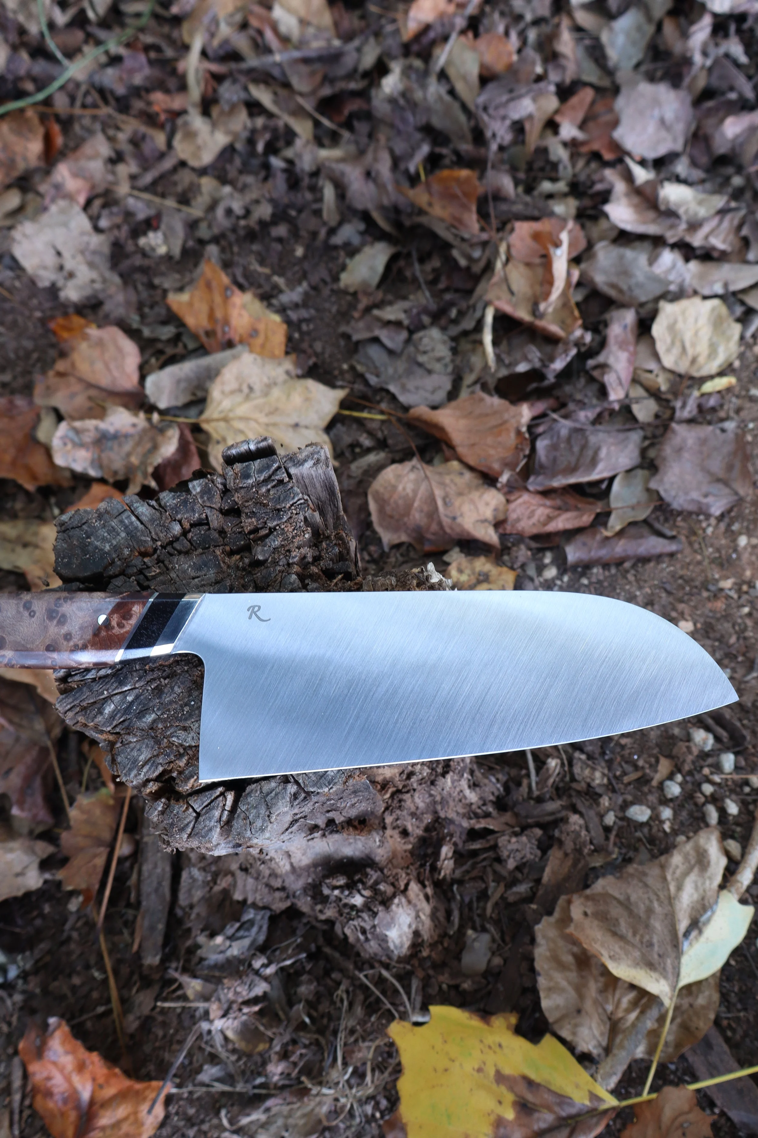 IMG_0612.JPG