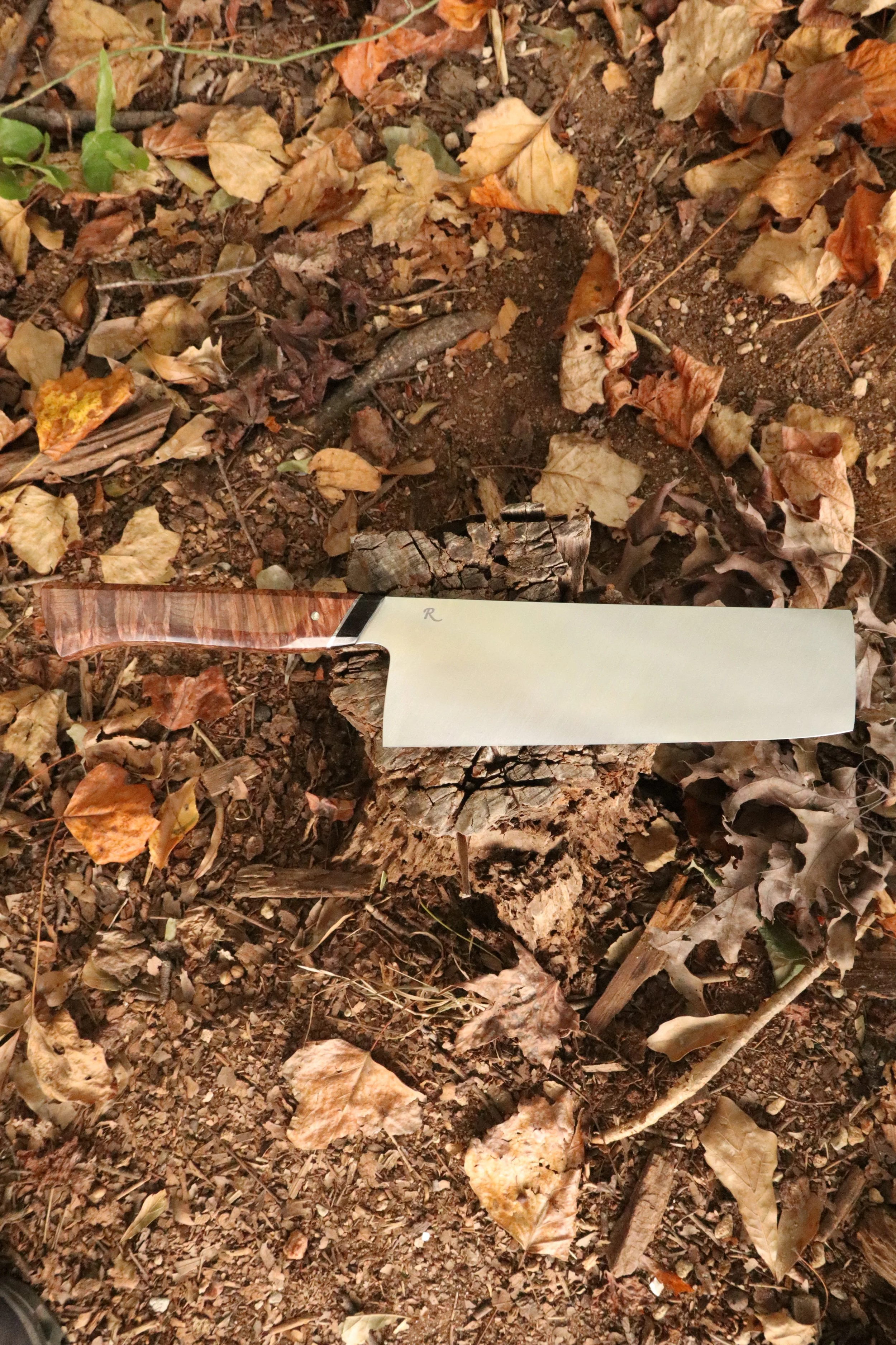 Nakiri in Stainless (Work Horse)