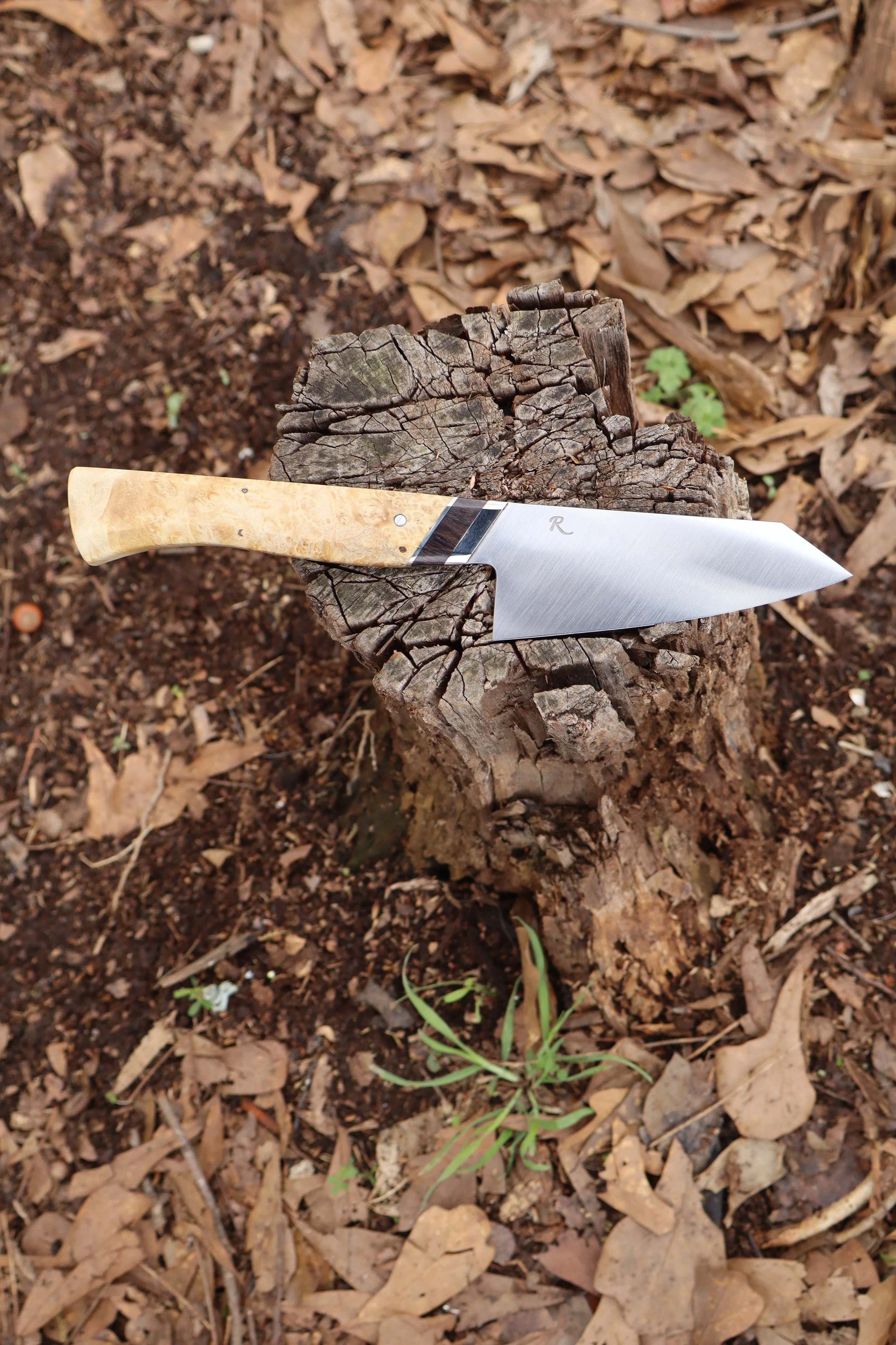 Kitchen Utility Knife (Masterline)