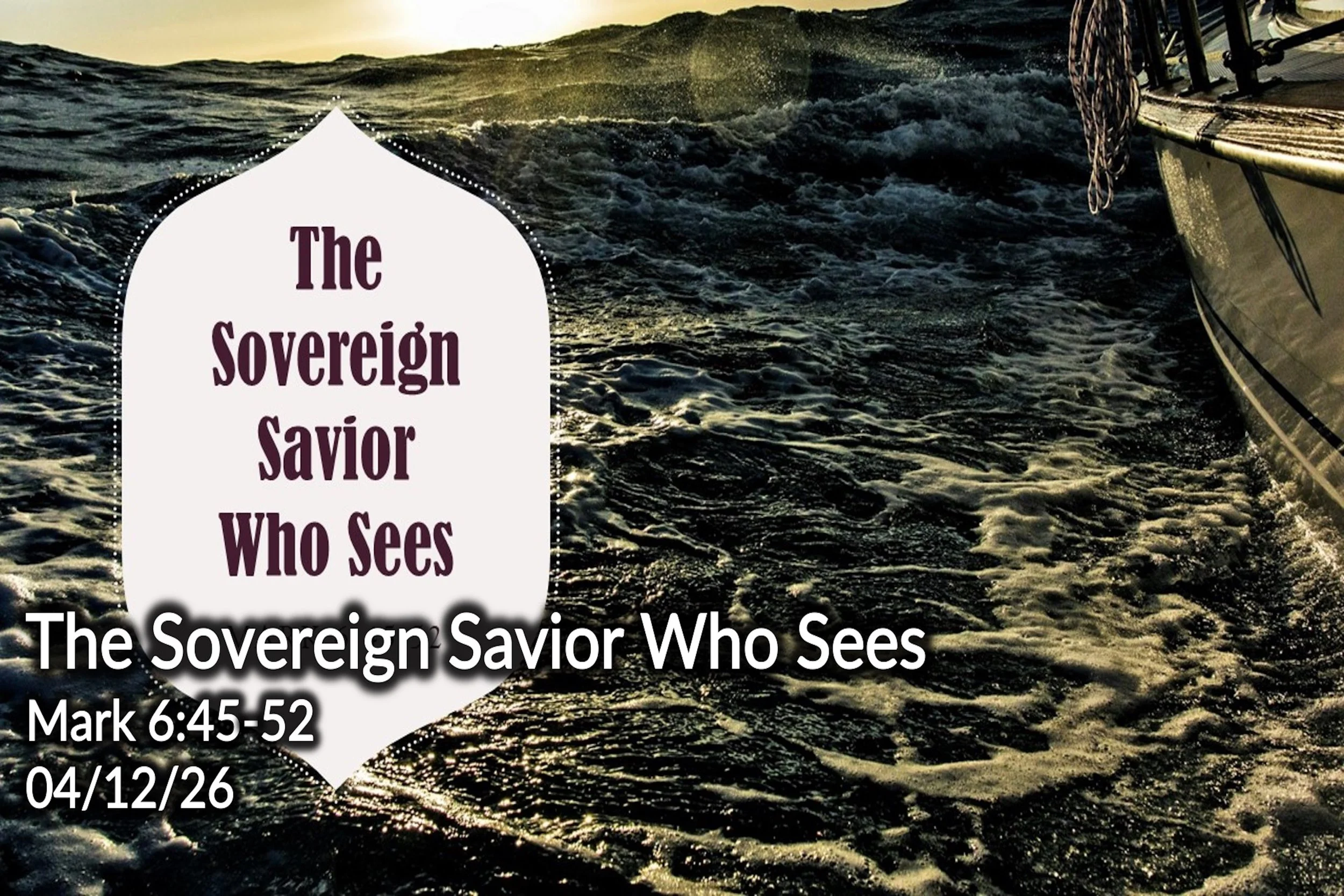 The Sovereign Savior Who Sees
