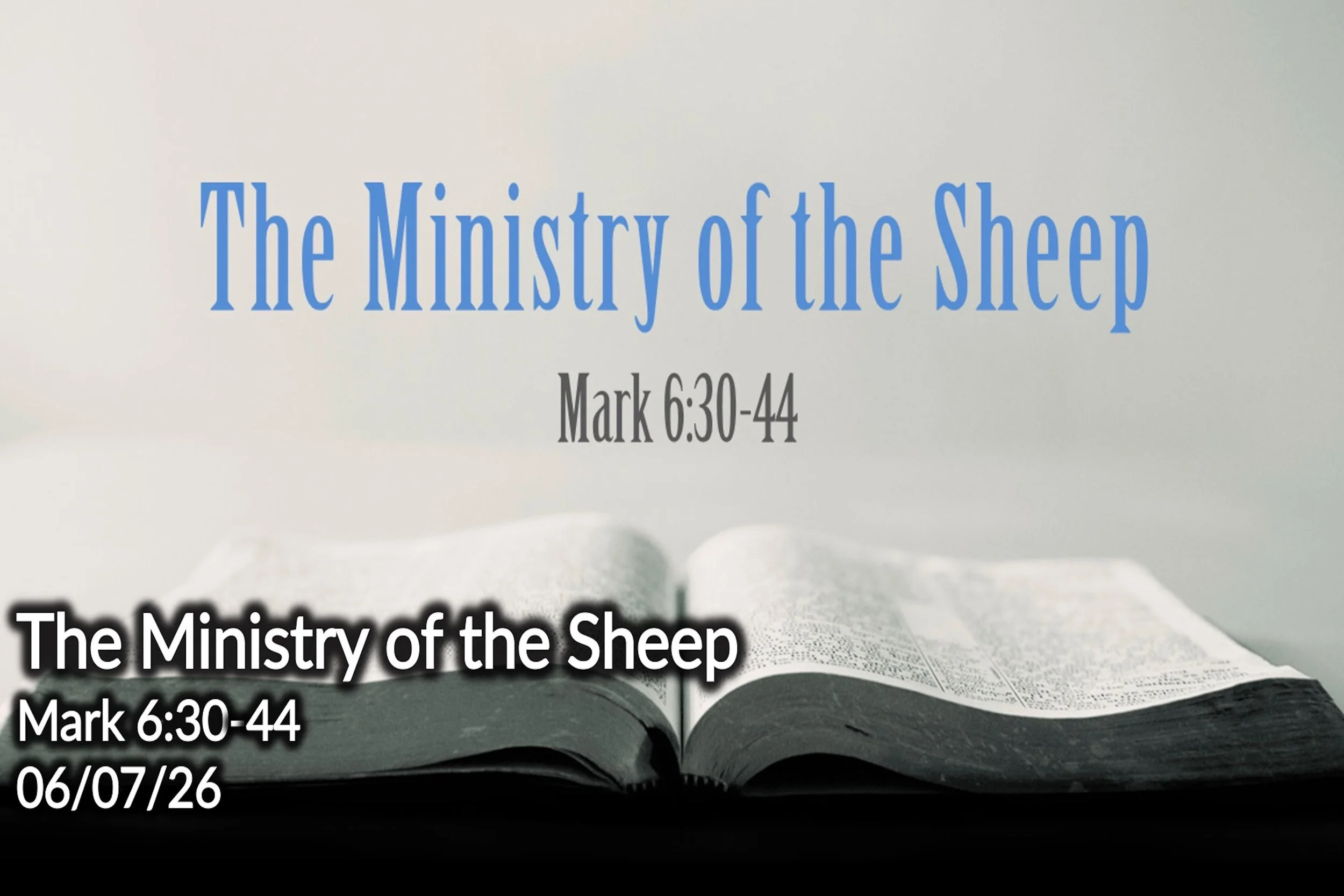 The Ministry of the Sheep