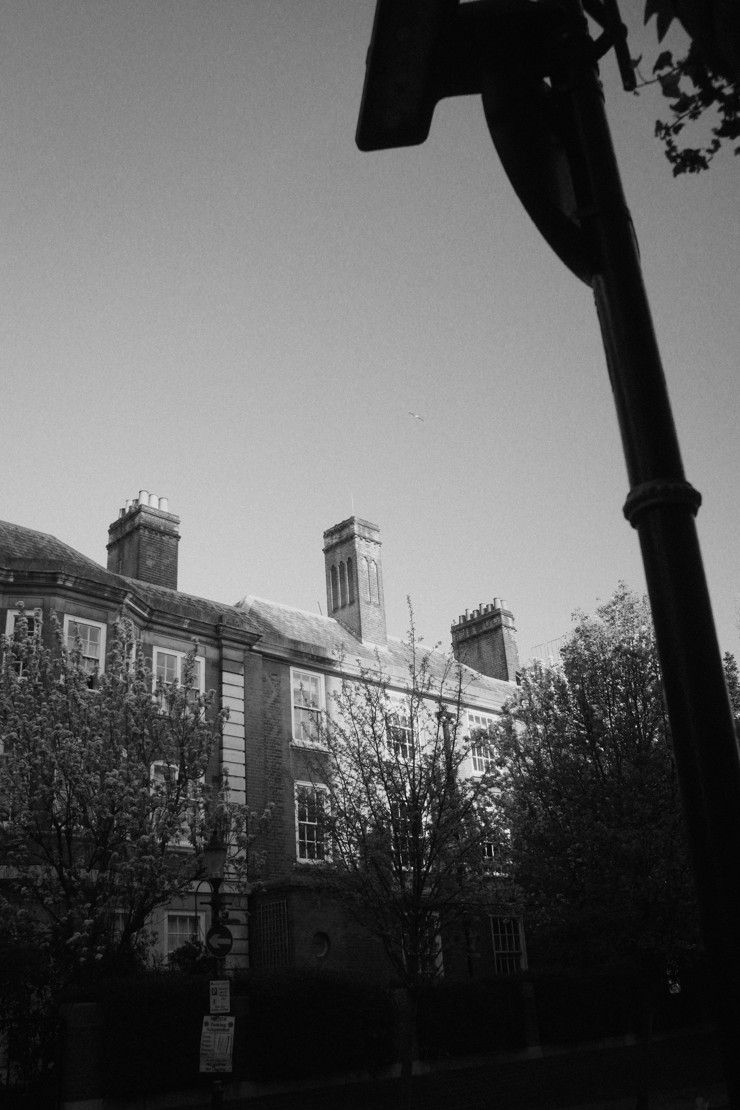DSC00792.jpg
