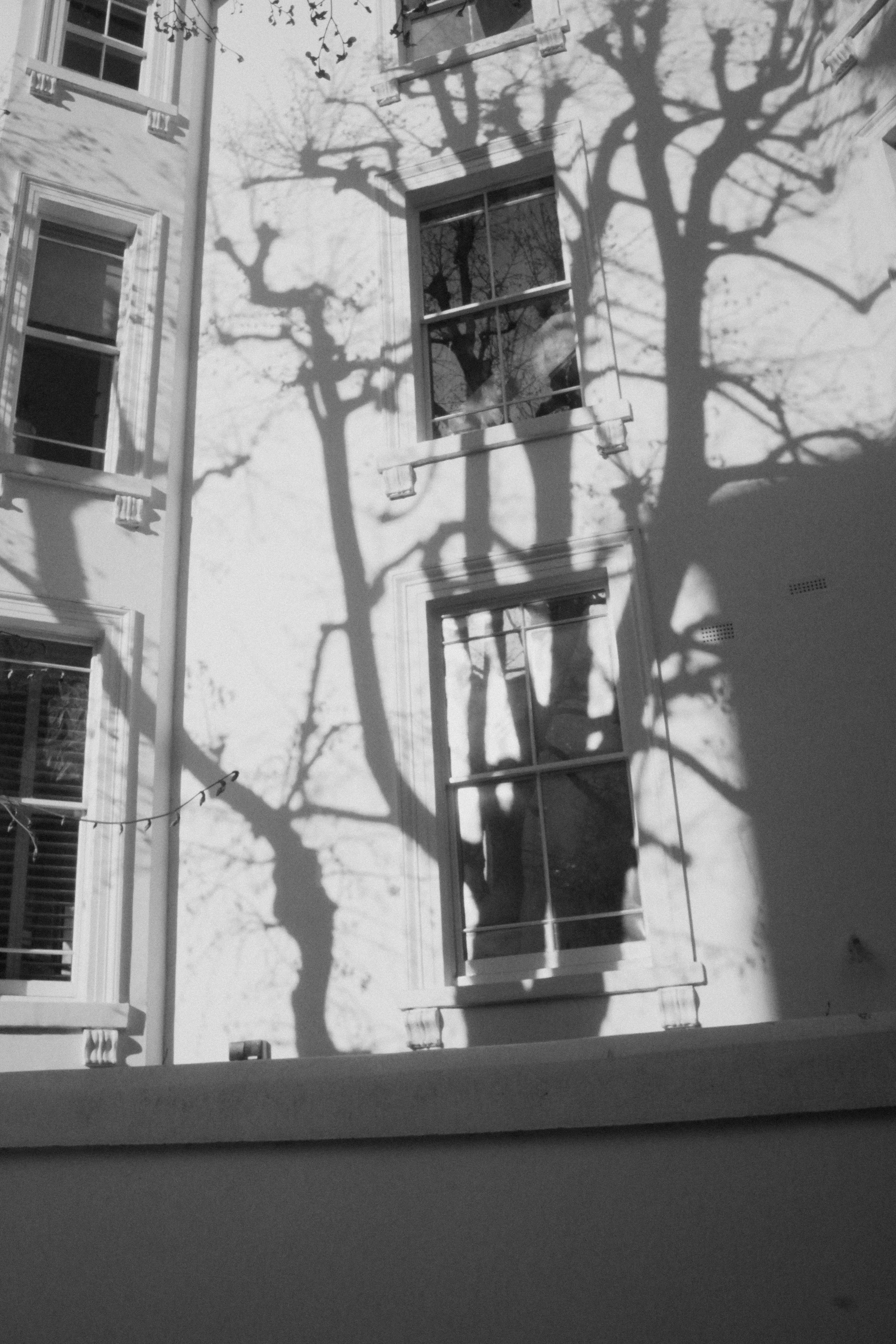 DSC00904.jpg