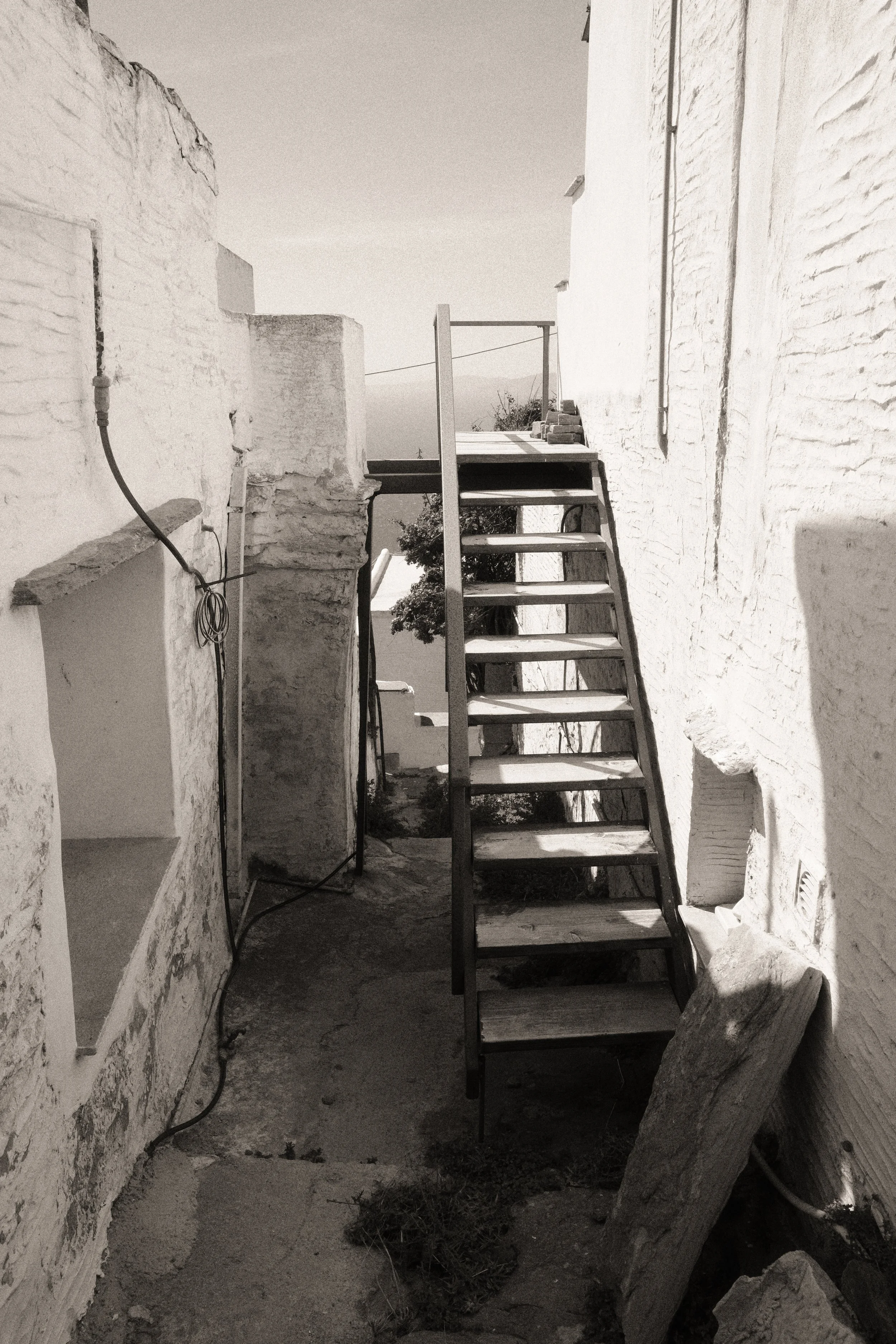 R0000507.jpg