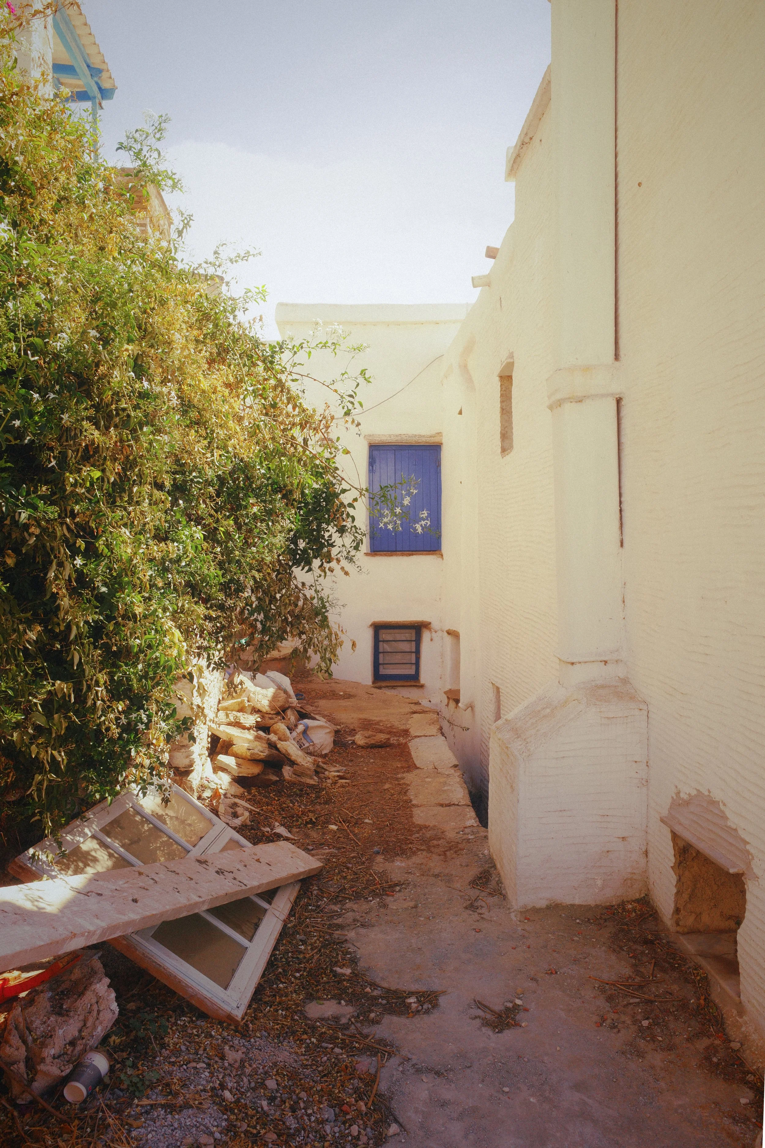 R0000509.jpg