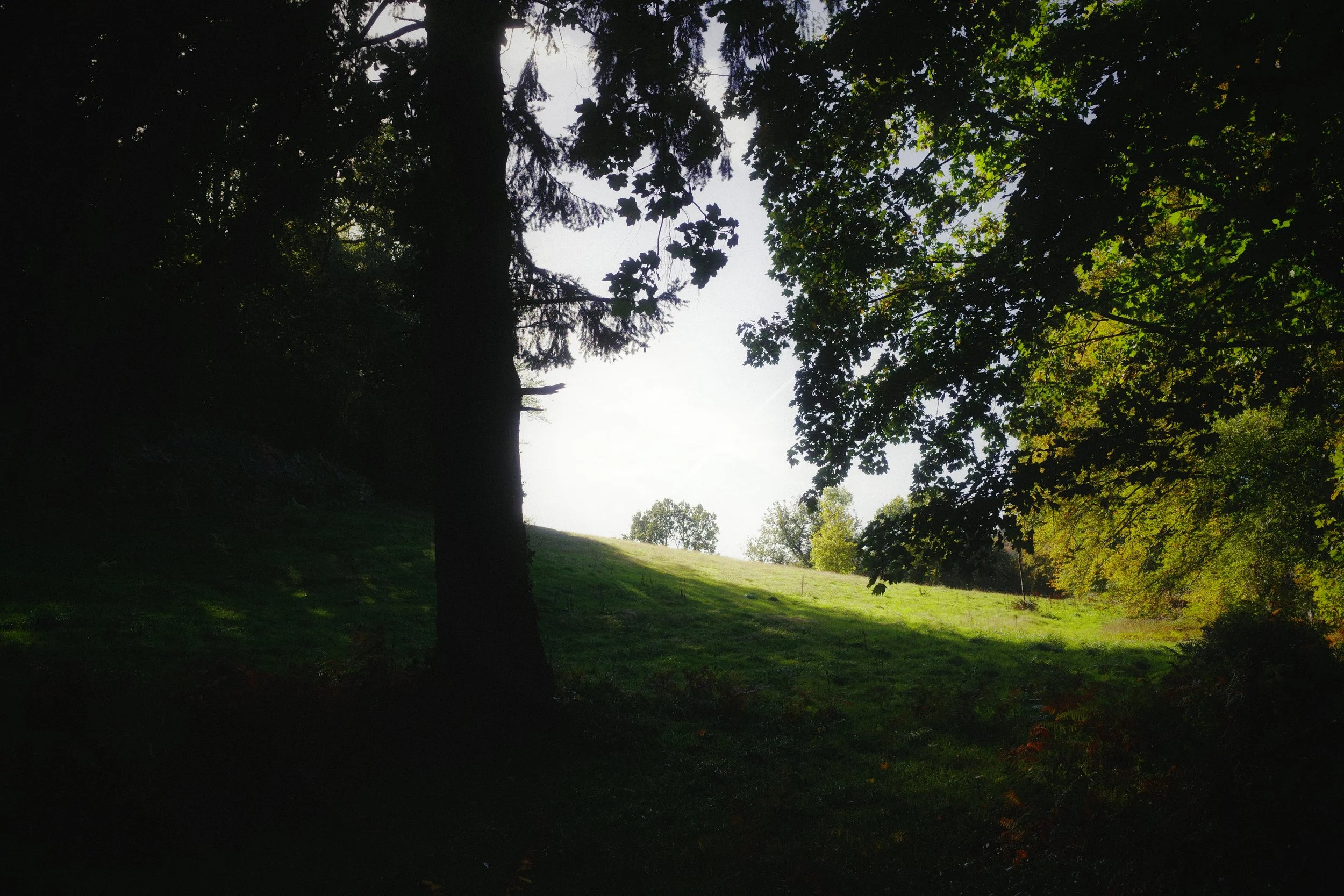 R0000609.JPG