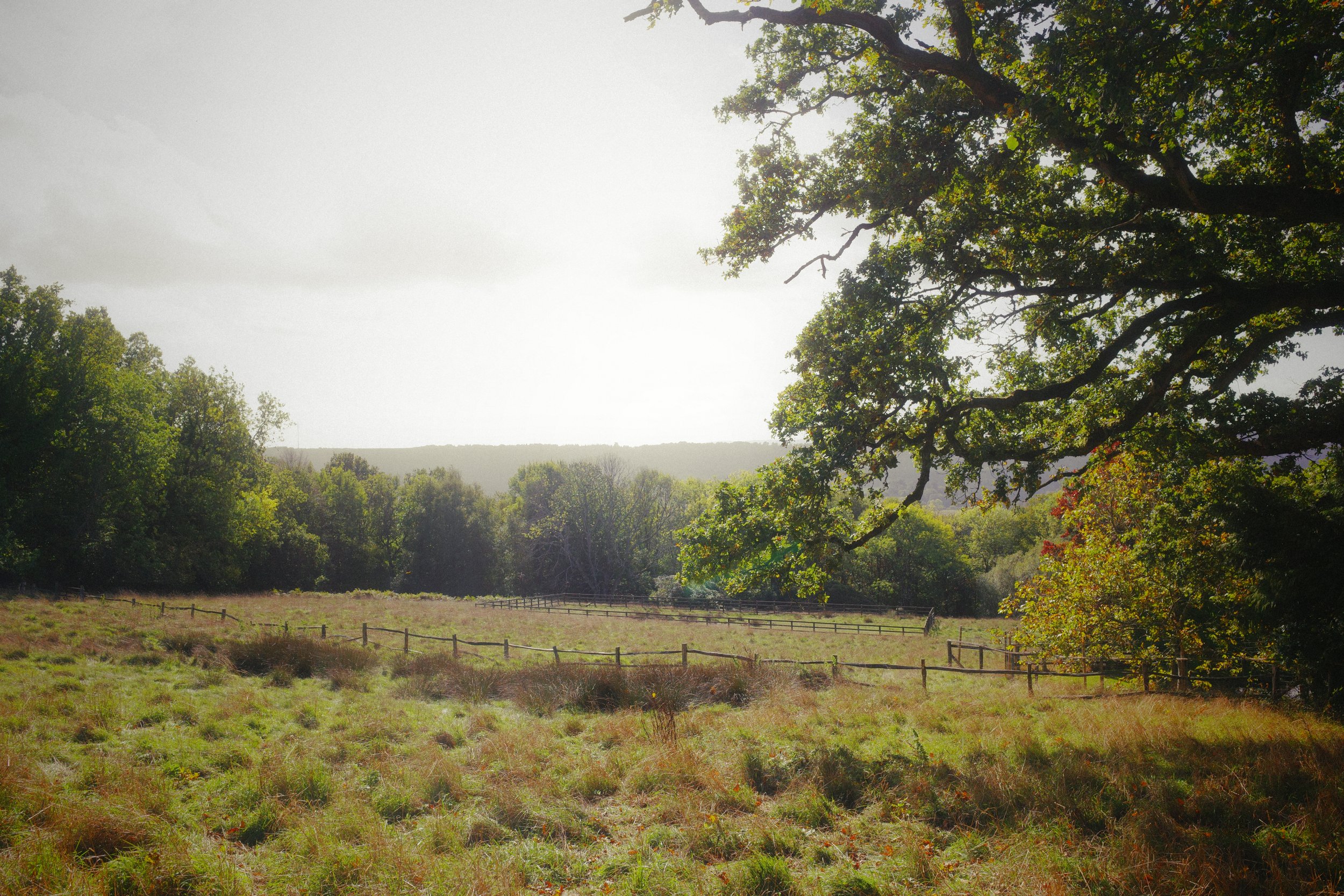R0000749.JPG