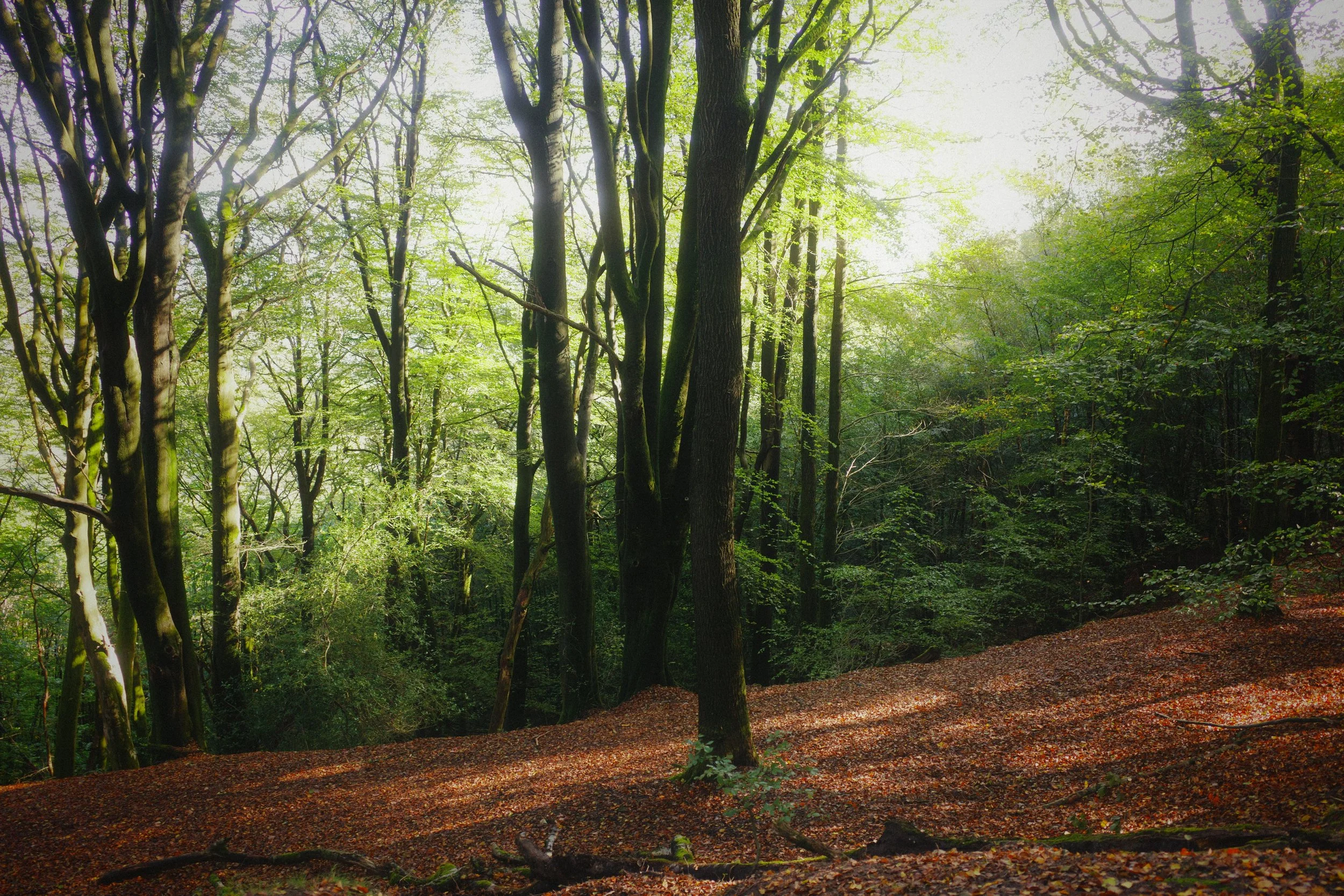 R0000807.JPG