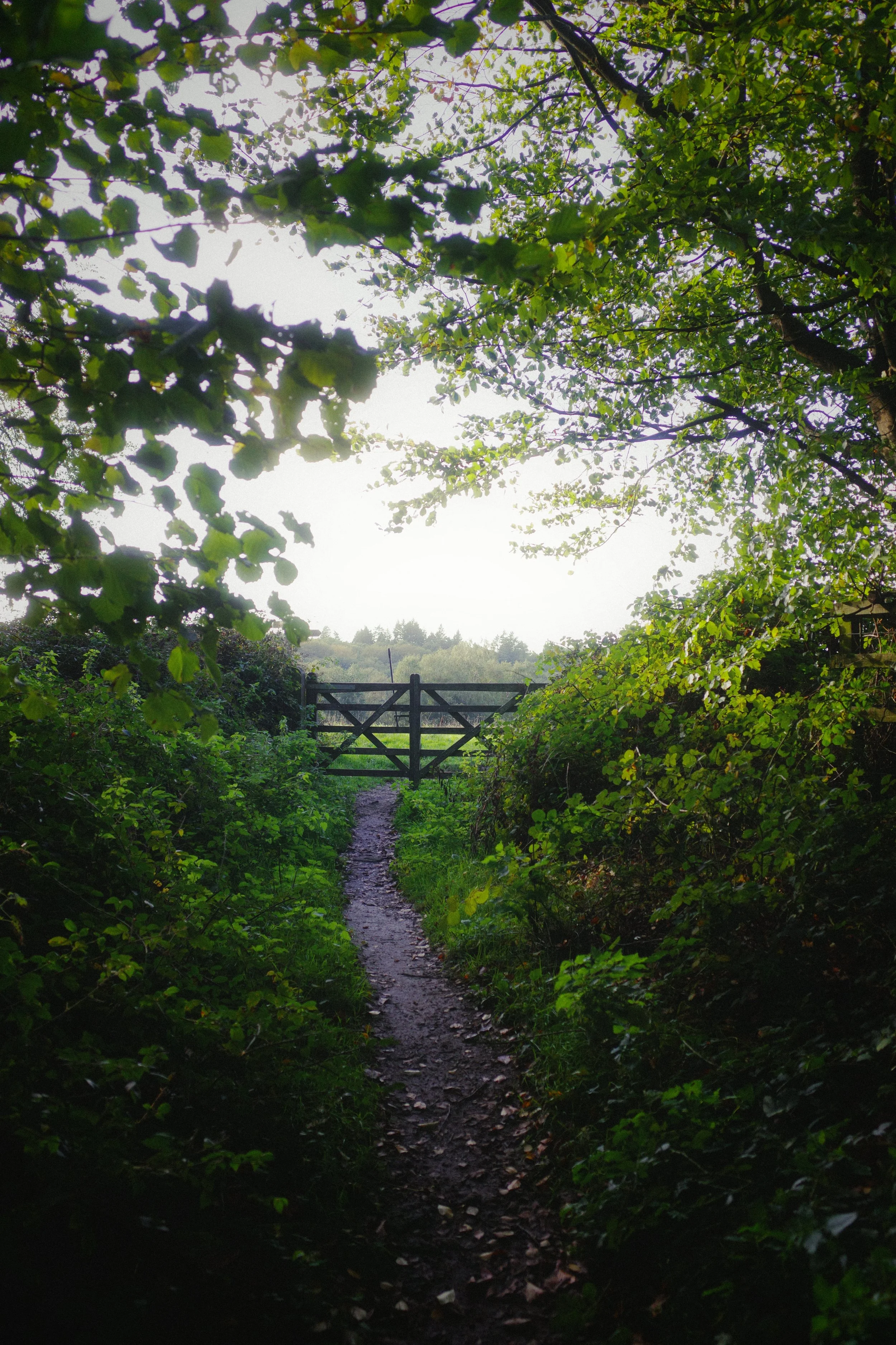 R0000870.JPG