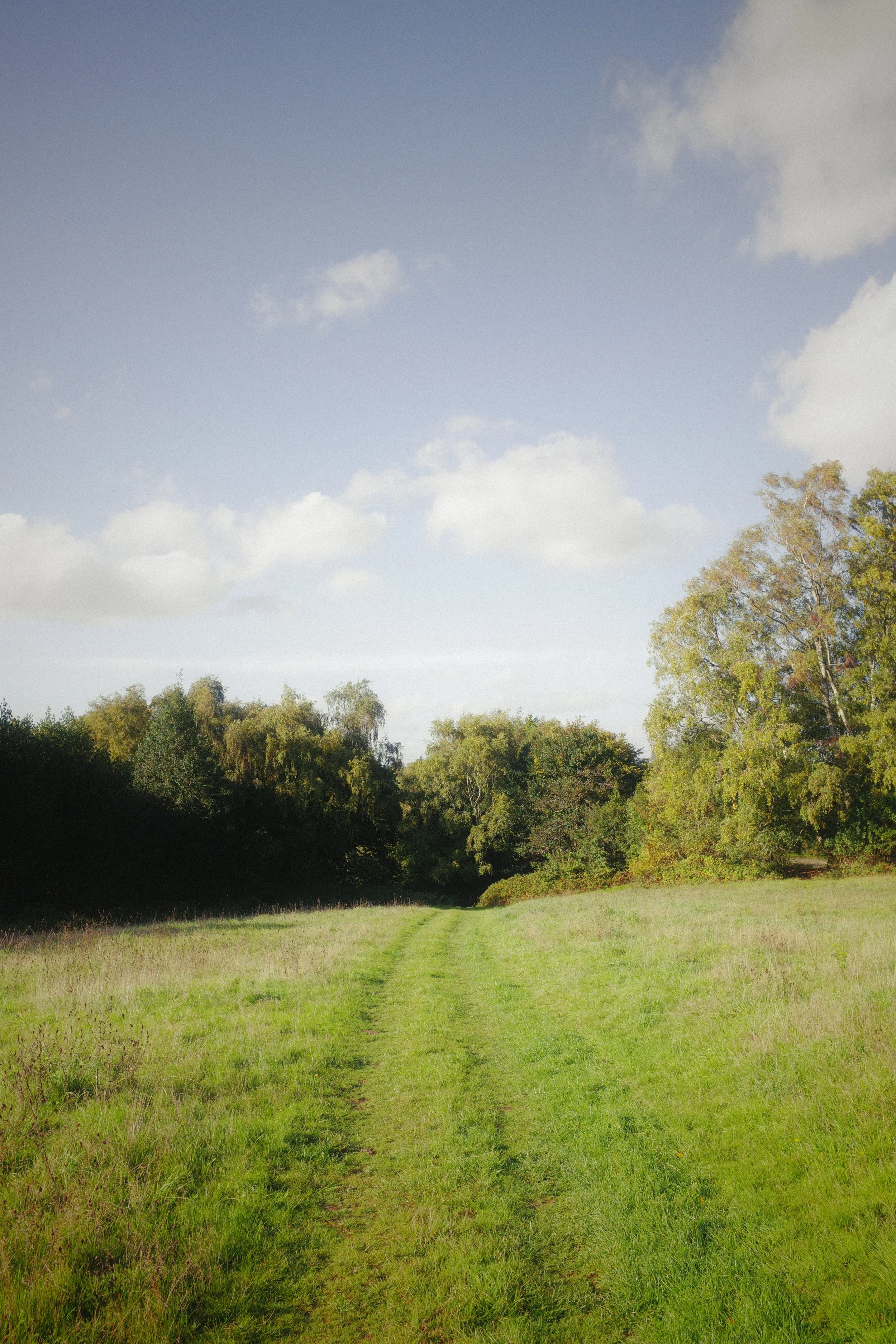 R0000890.JPG
