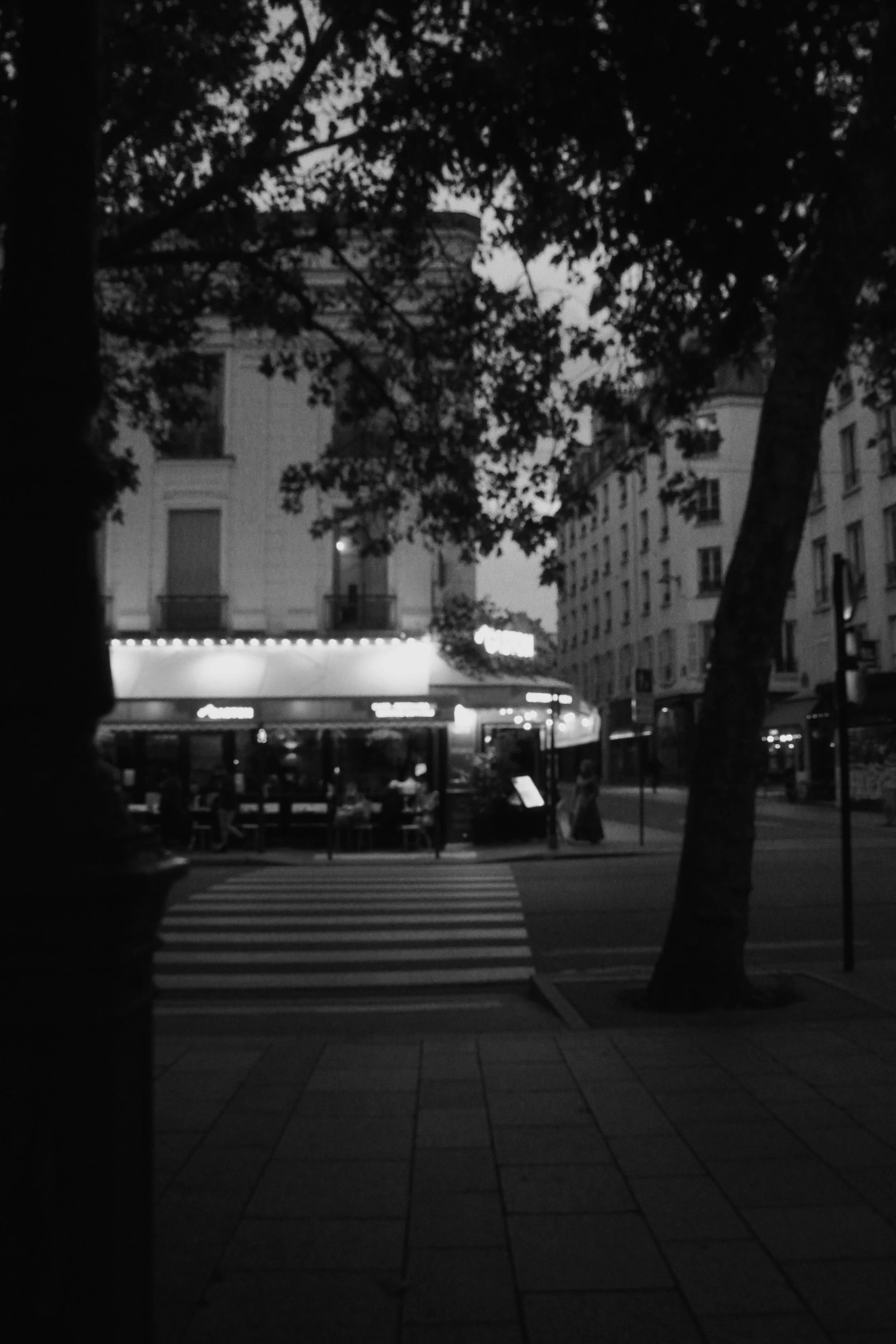 DSC01364.jpg
