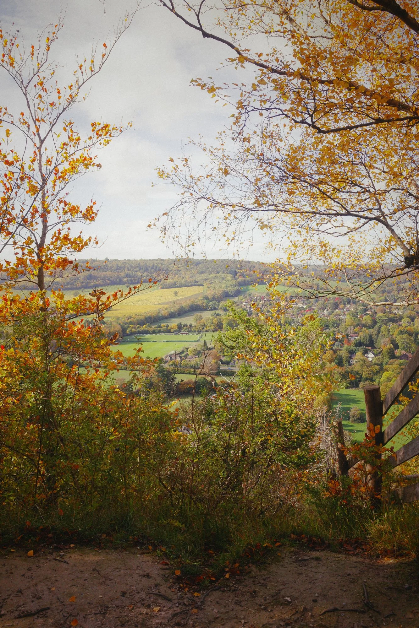 R0001009.jpg