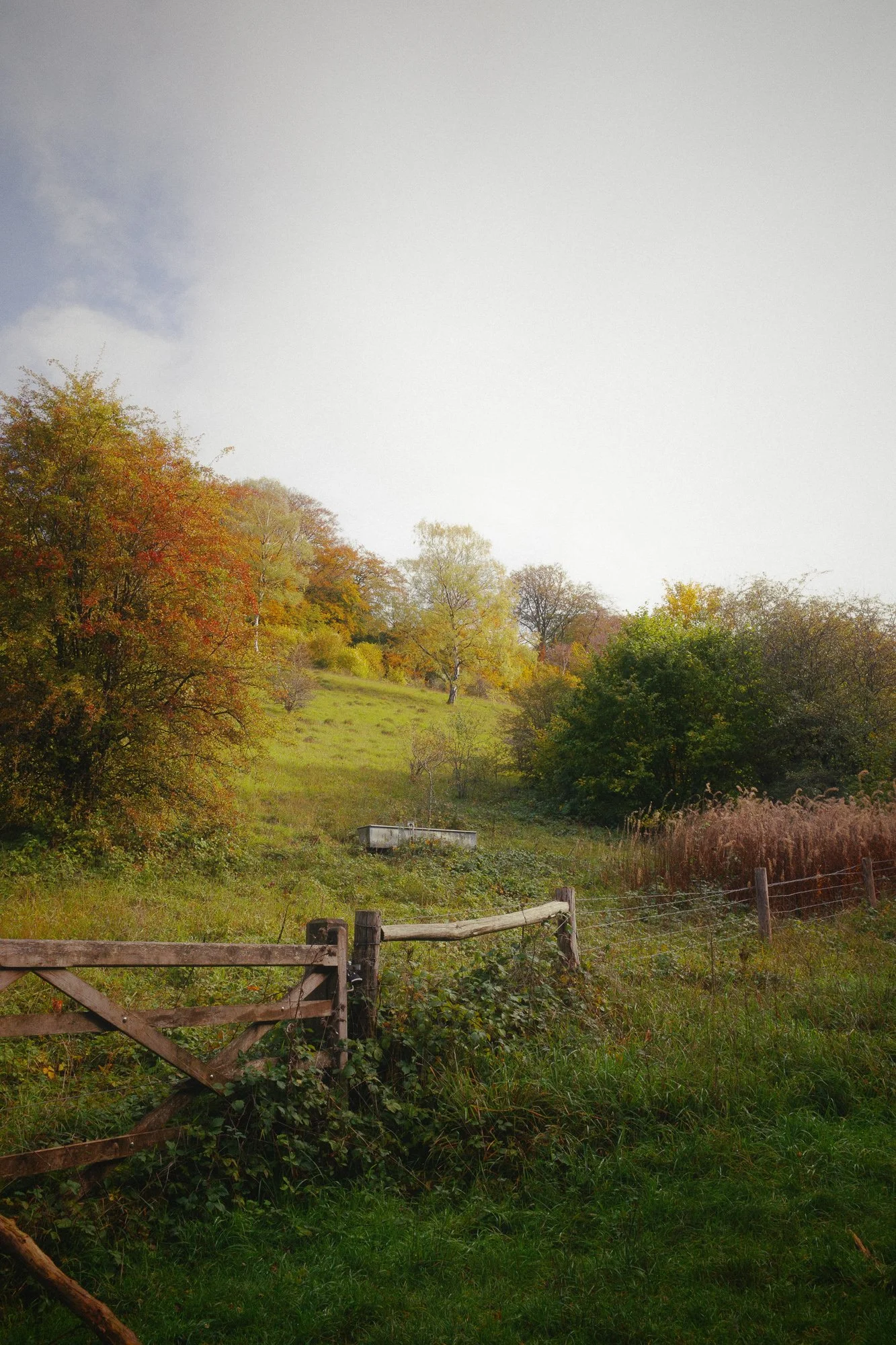 R0001047.jpg