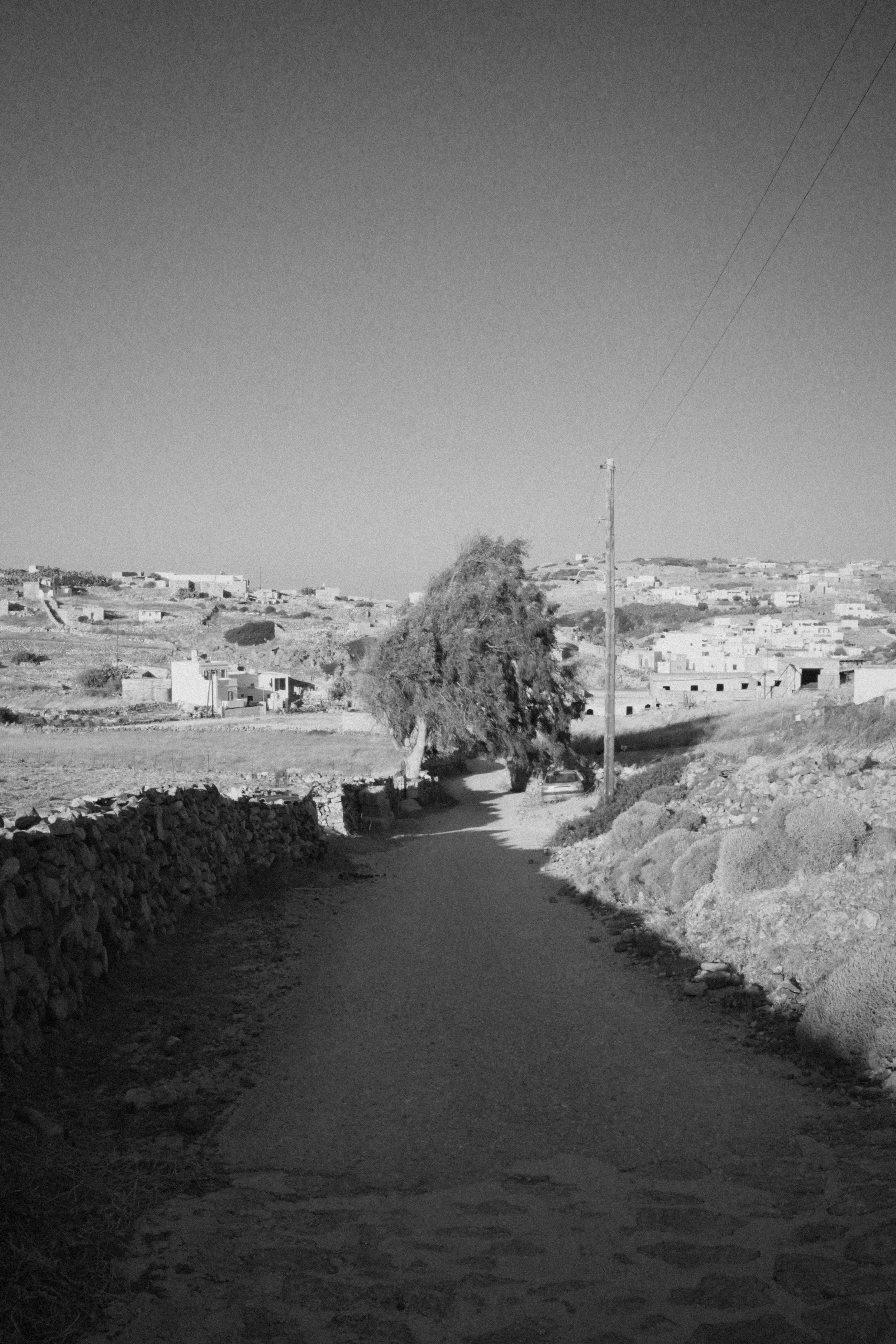 DSC02172.jpg