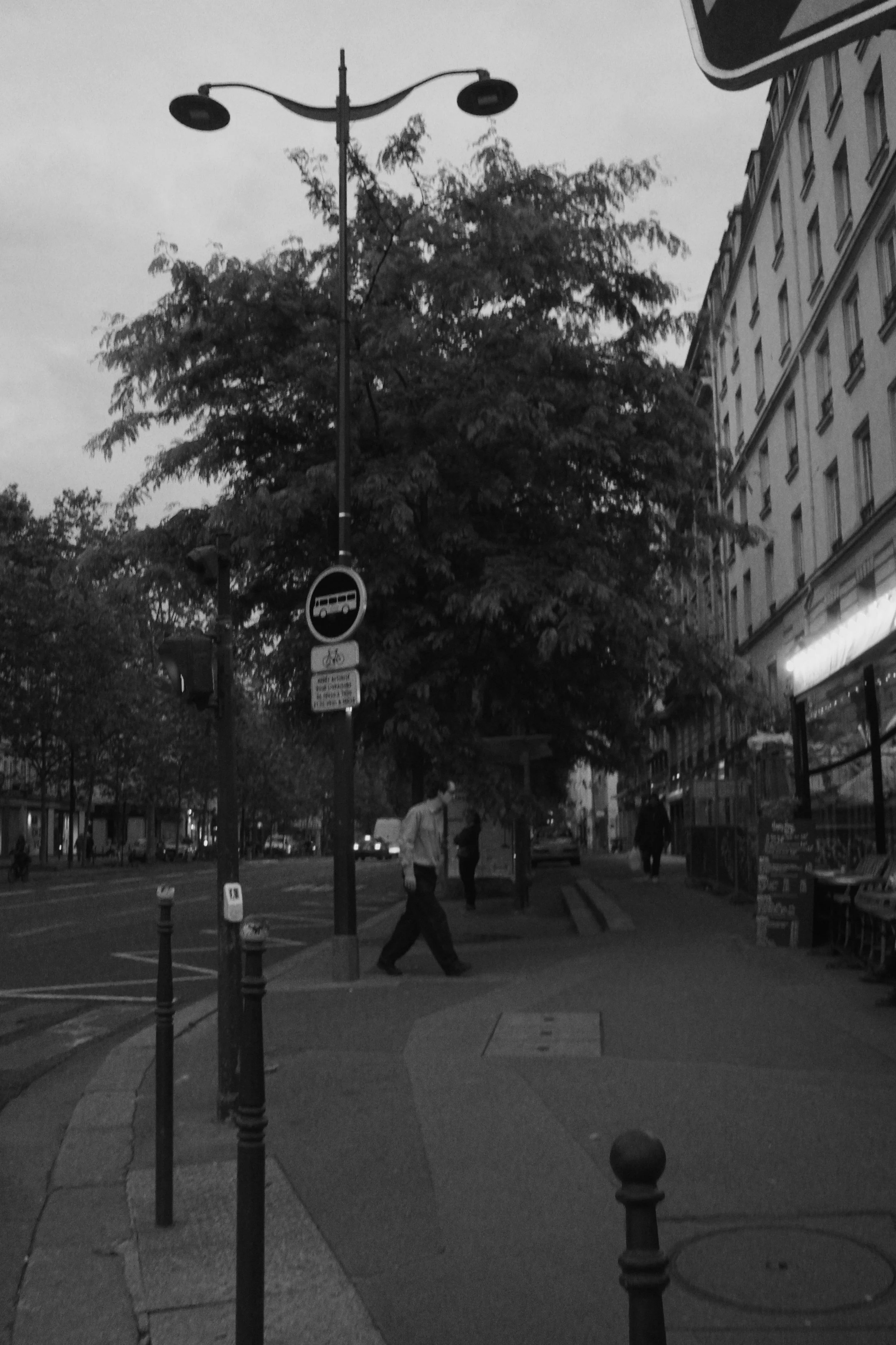 DSC01330.jpg