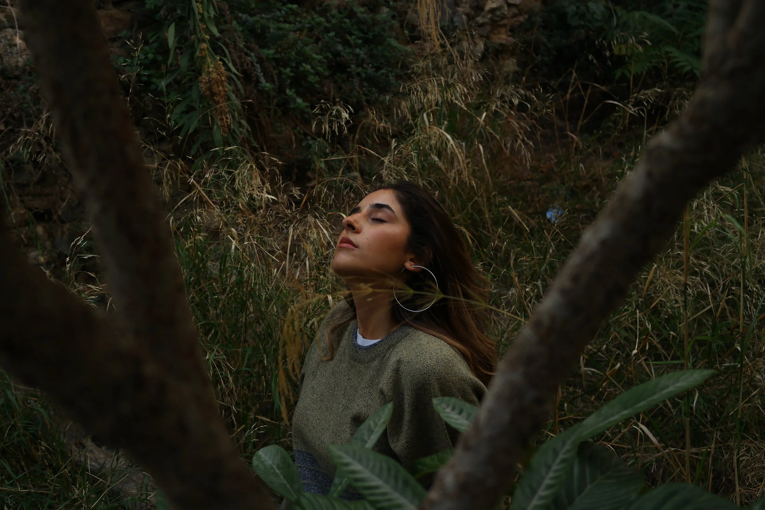Wild Soul, Wild Voice