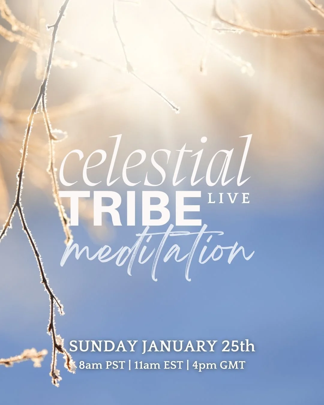 Join me SUNDAY, JANUARY 25th for our end-of-month live meditation as we journey to a mystical winter woodland, guided by the stillness and wisdom of nature.

Together, we&rsquo;ll walk beneath ancient trees and allow the nervous system to calm before