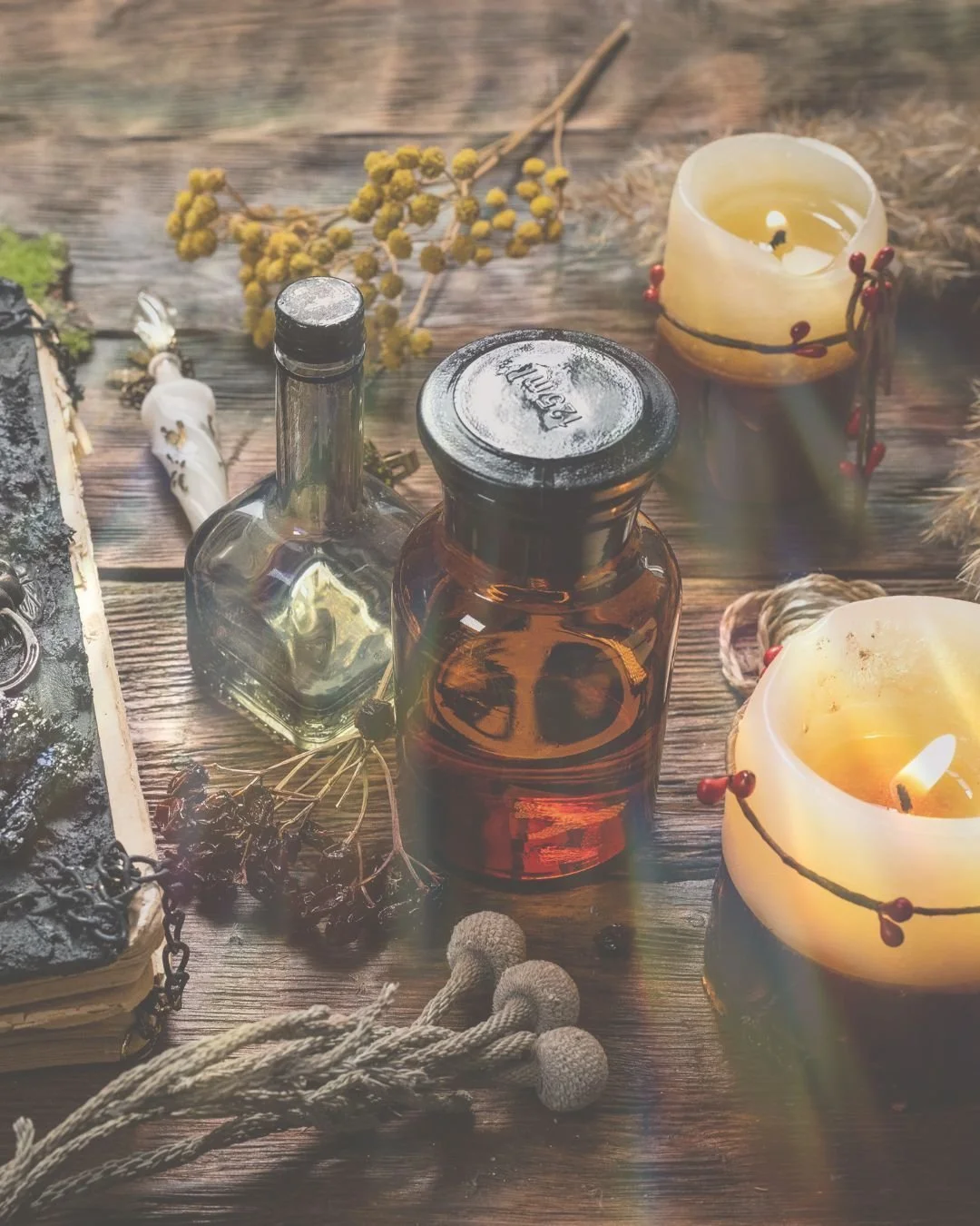 🌱 Happy Imbolc! 🌱 Today we celebrate Imbolc, the festival of light that marks the first stirrings of Spring after the long, dark Winter months. It falls at the halfway point between the Winter Solstice and the Spring Equinox, symbolising the gentle