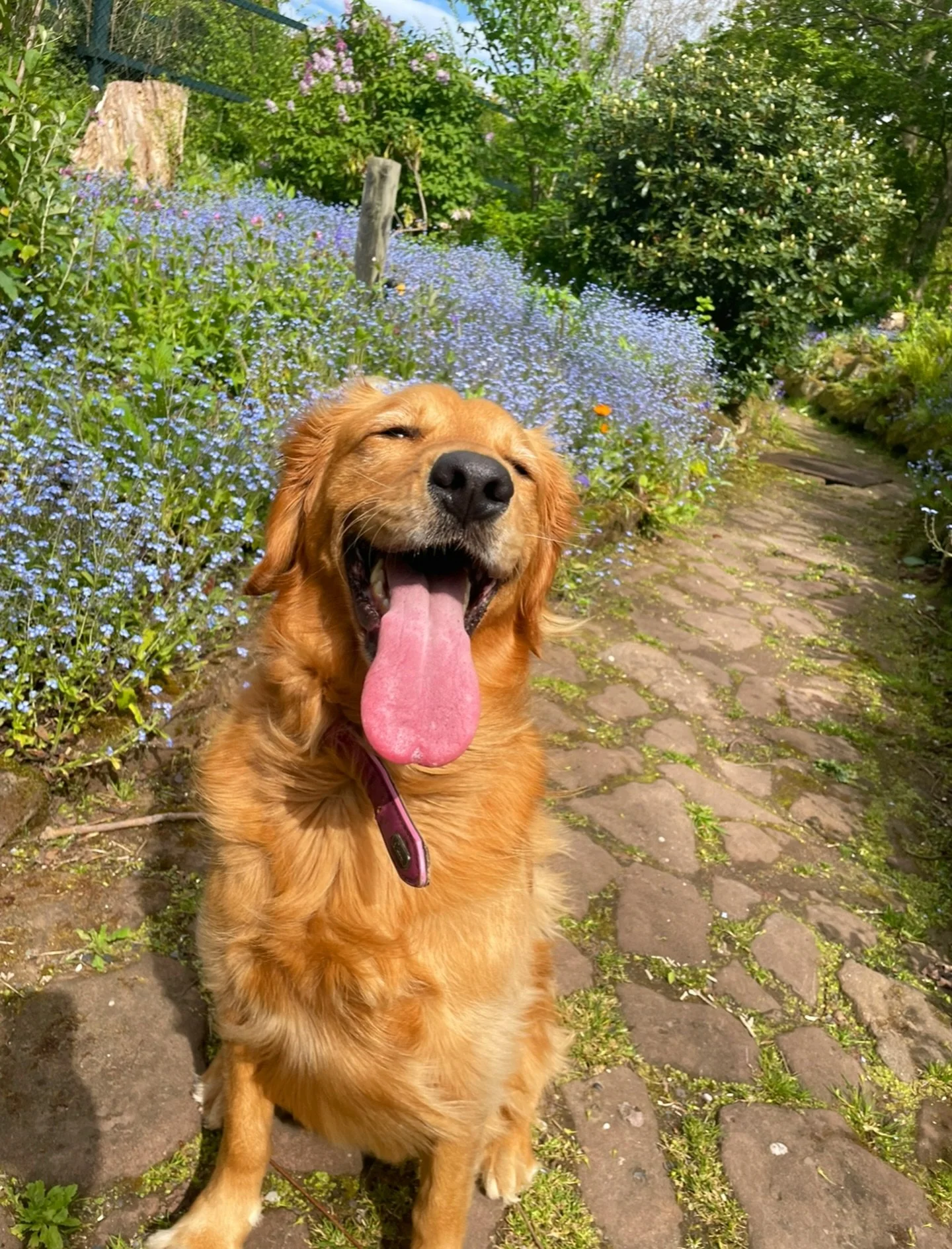 Happy Friday from me and my Darladoo! 🐾❤️✨

#fridayfeels