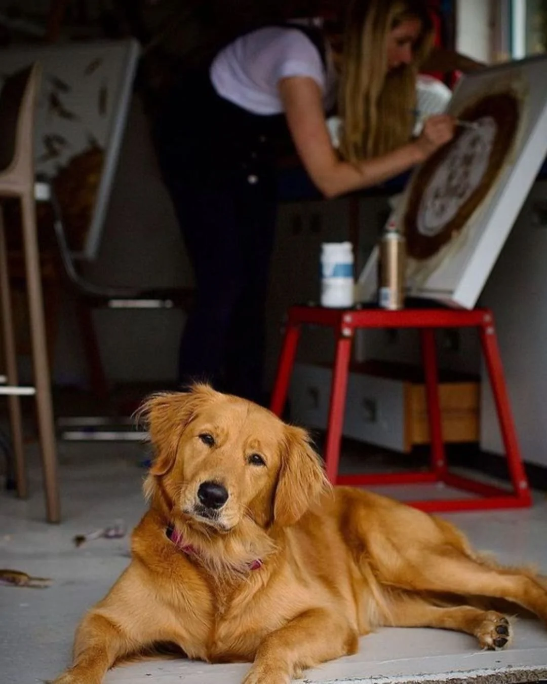 Today is National Pet Day, a day to appreciate the role that pets play in our lives. 🐾❤️

The joy Darladoo brings to our family is immeasurable! I often refer to her as my Guardian Angel Doggy because she is like my shadow following me everywhere I 