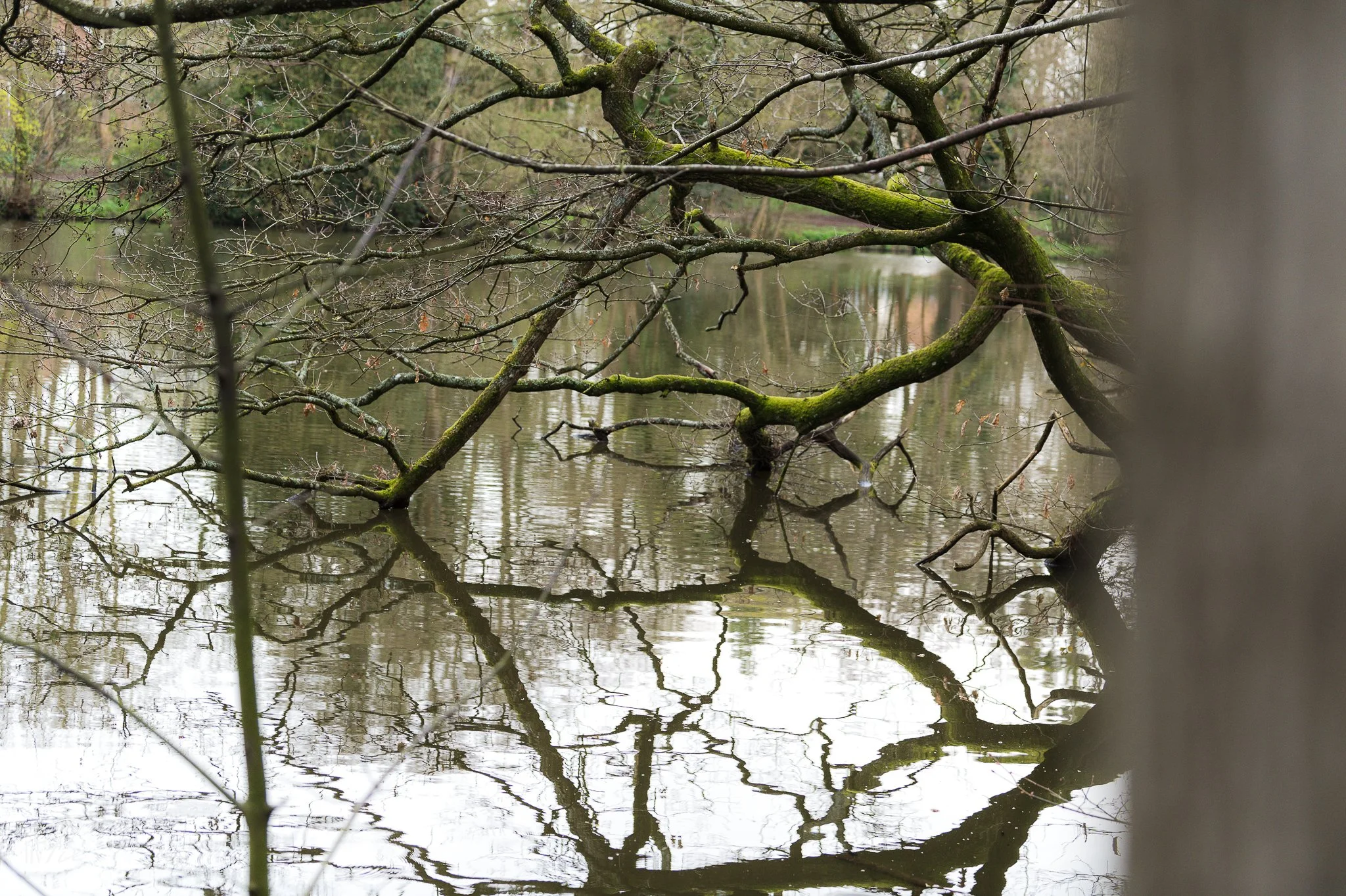 Newent Town — LivPix Photography and Creations