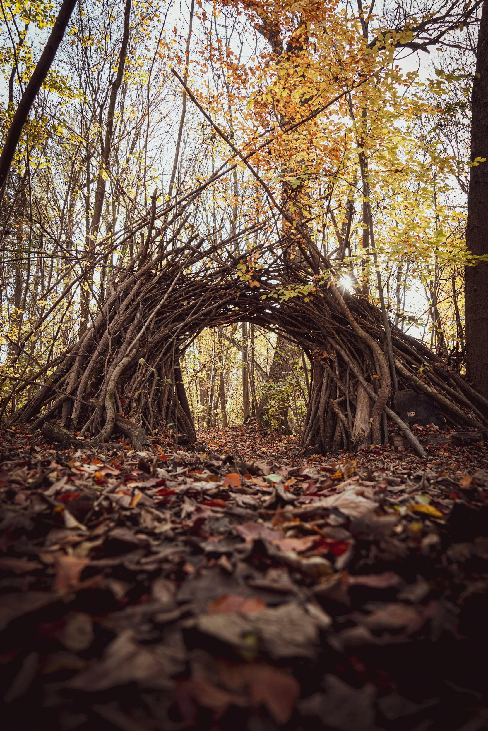 The 9/9/9 Portal. Endings and New Beginnings