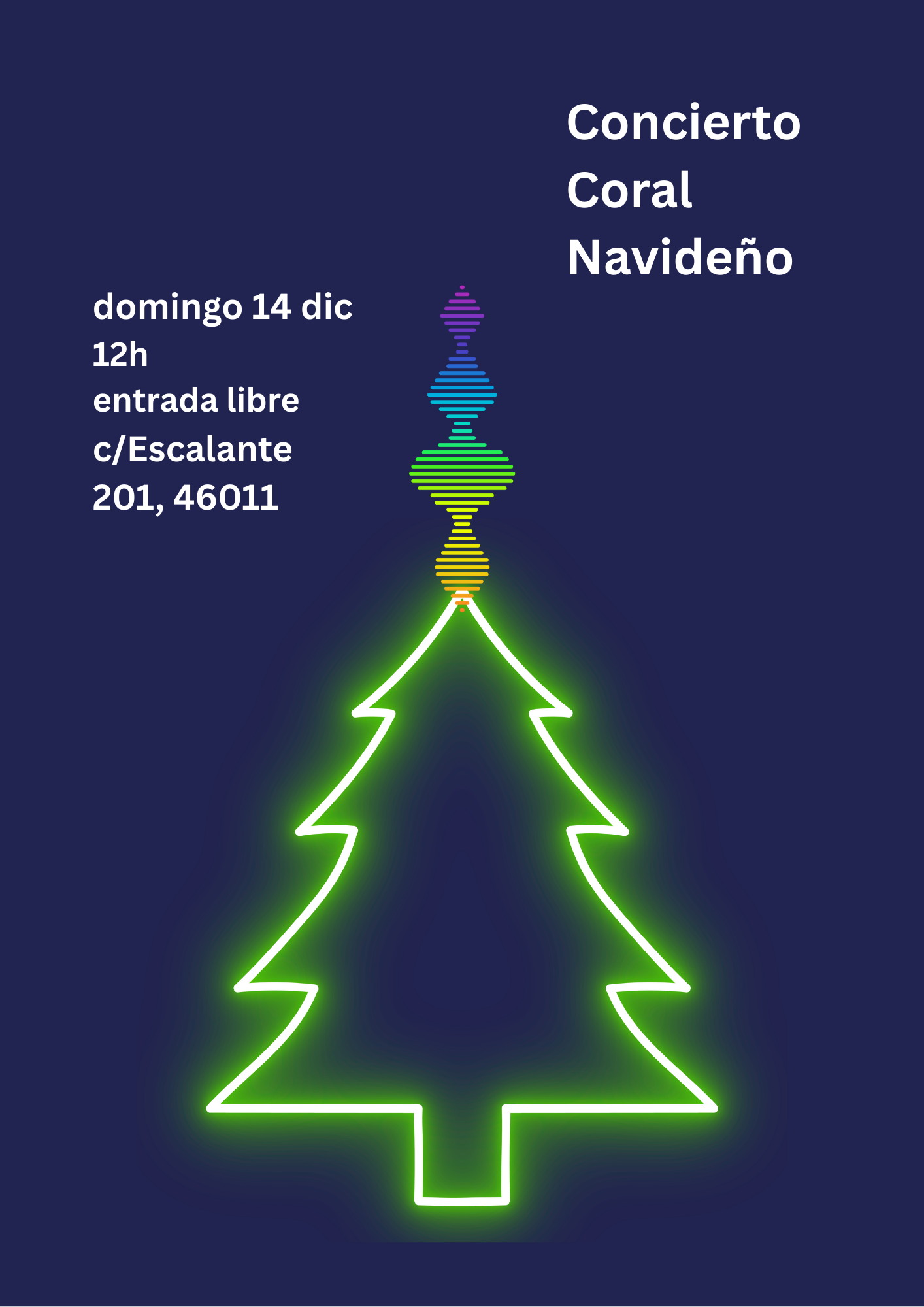 Concierto de Navidad 2