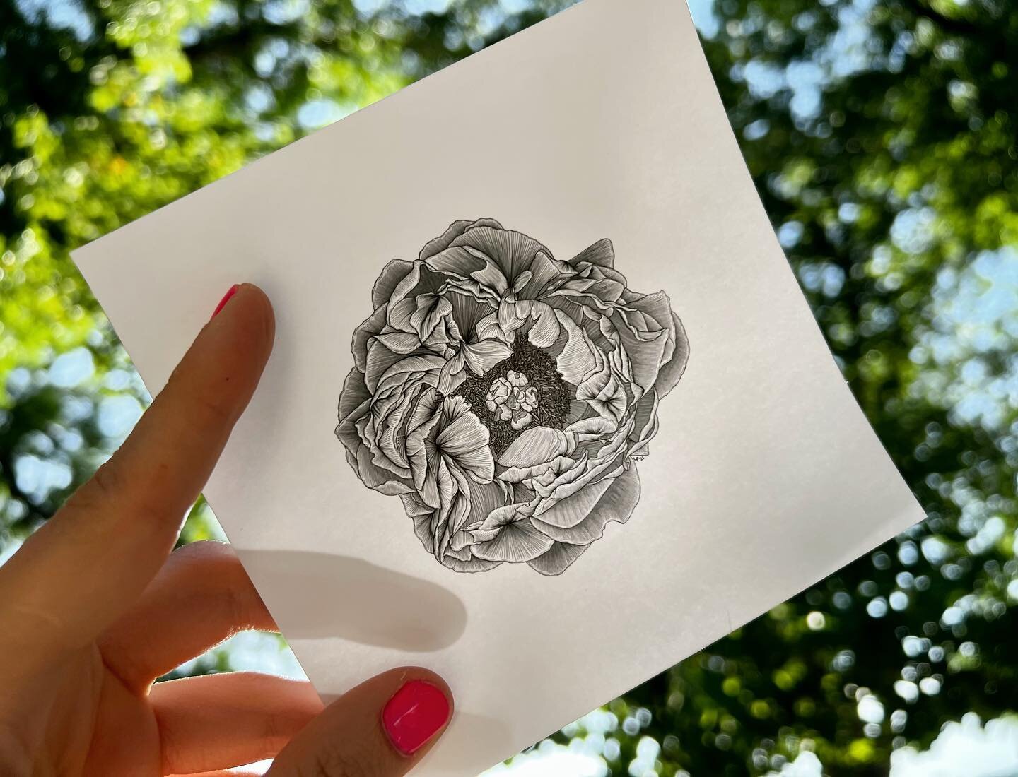 Hip! Hip! Peony prints available now at link in bio! 🌸☀️ 

Grayscale to start.. should I do one in color too?!

Swipe to see the inspo for this latest addition to our floral gallery, original snap taken at @londonplaneseattle 😍 

Prices include tax