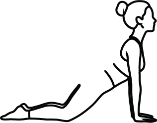 Cat Cow Pose icon