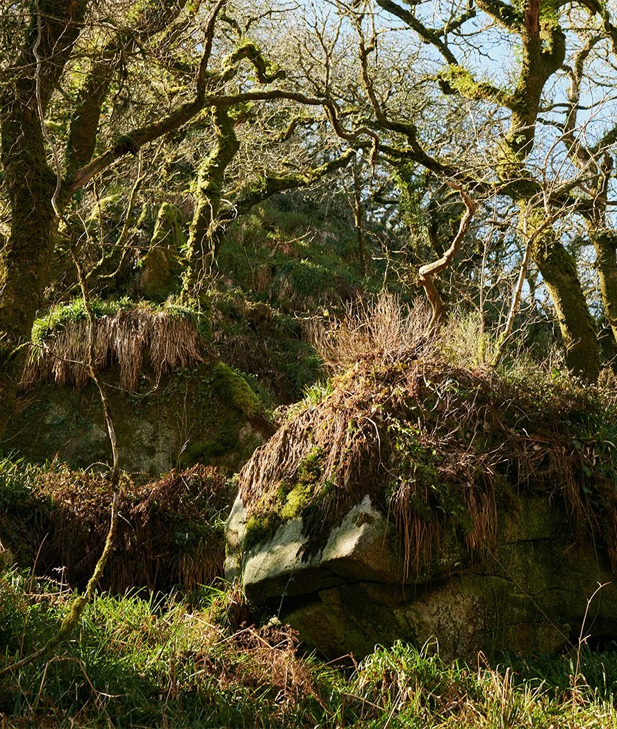 Heist House Studios wellness in Warwick