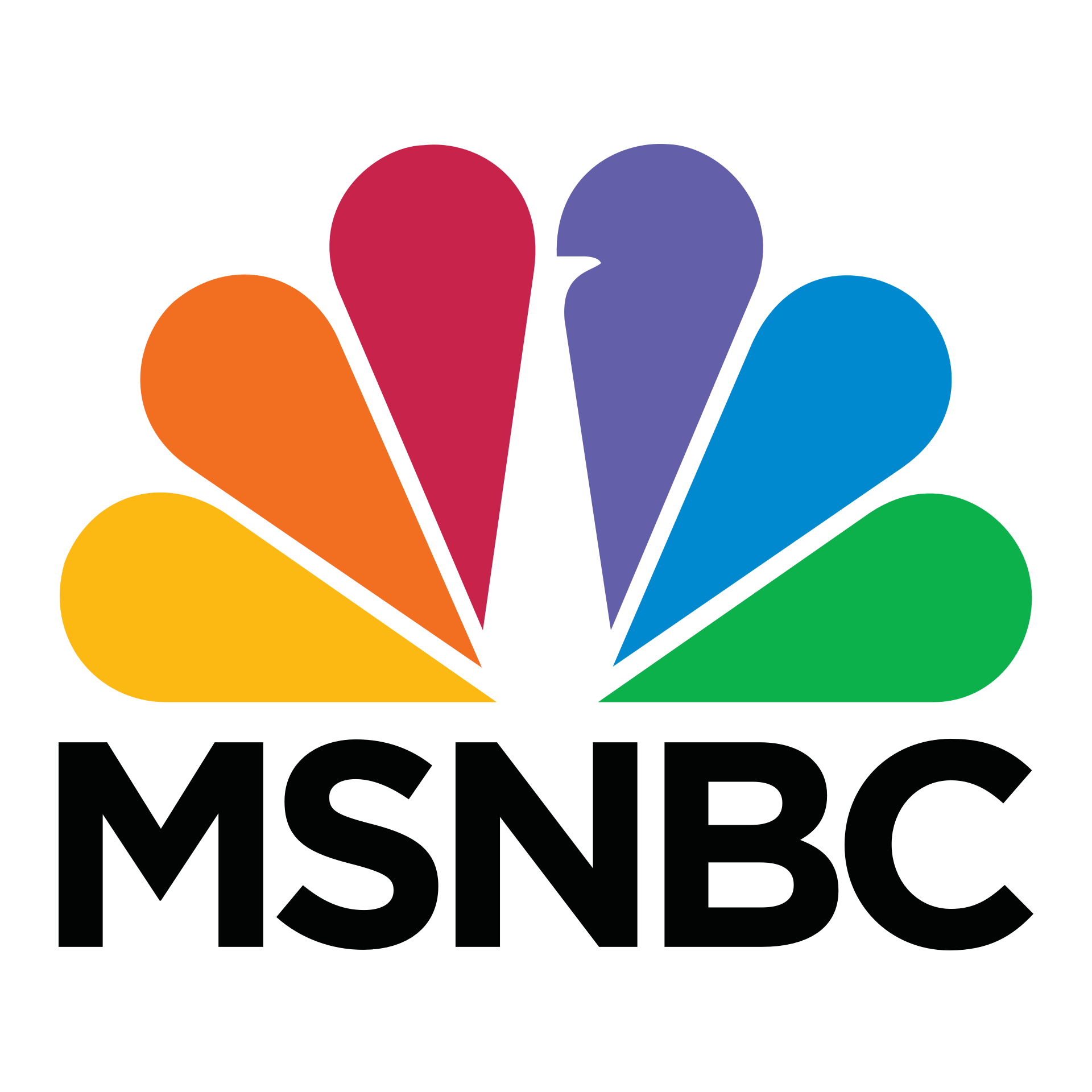 msnbc-logo-png-1920.png