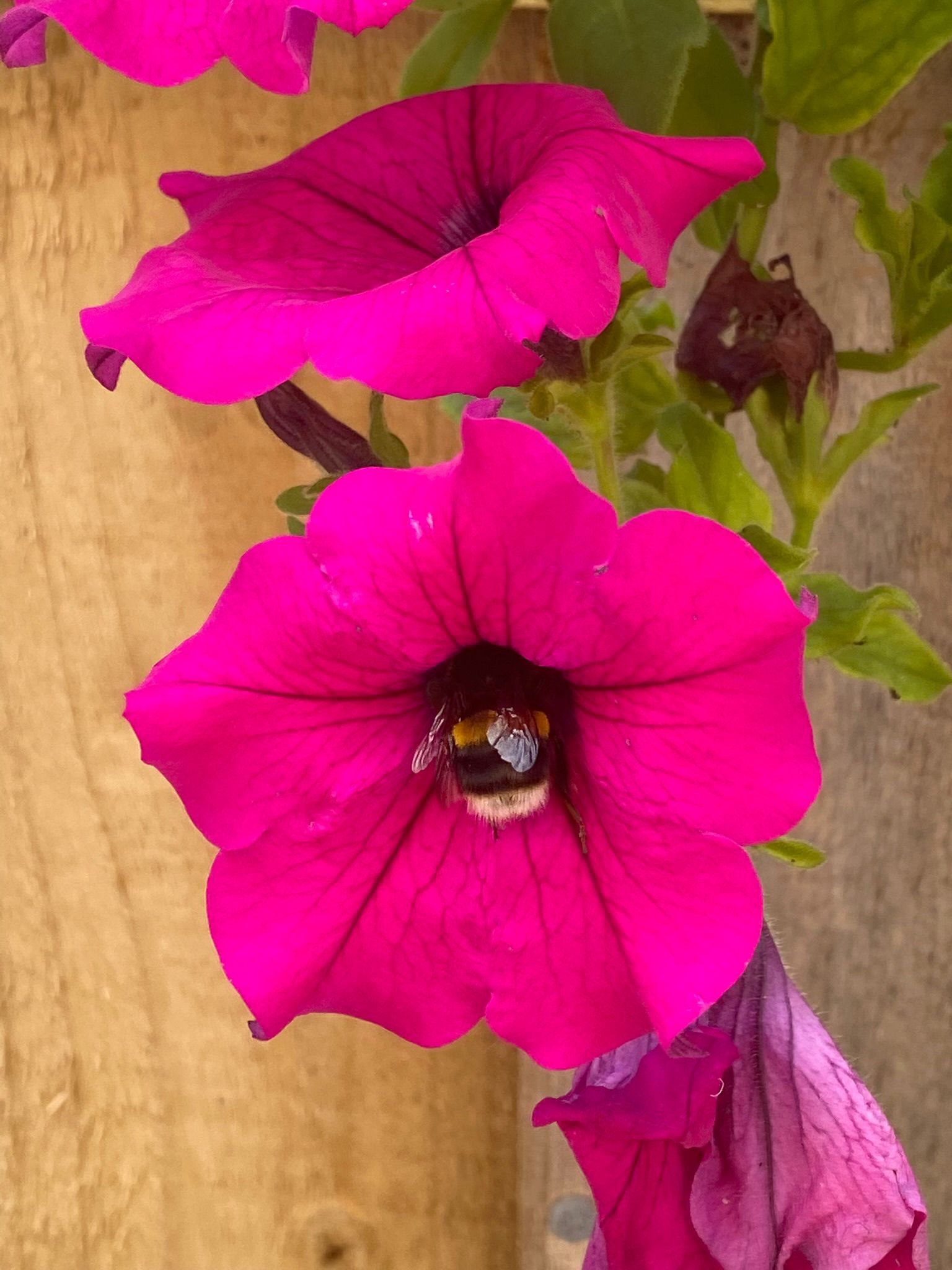 WhatsApp Image 2022-08-29 at 8.50.36 PM.jpeg