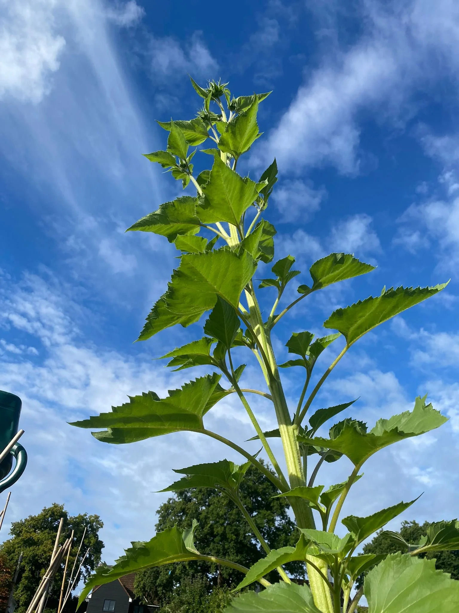 WhatsApp Image 2022-08-29 at 8.50.32 PM.jpeg