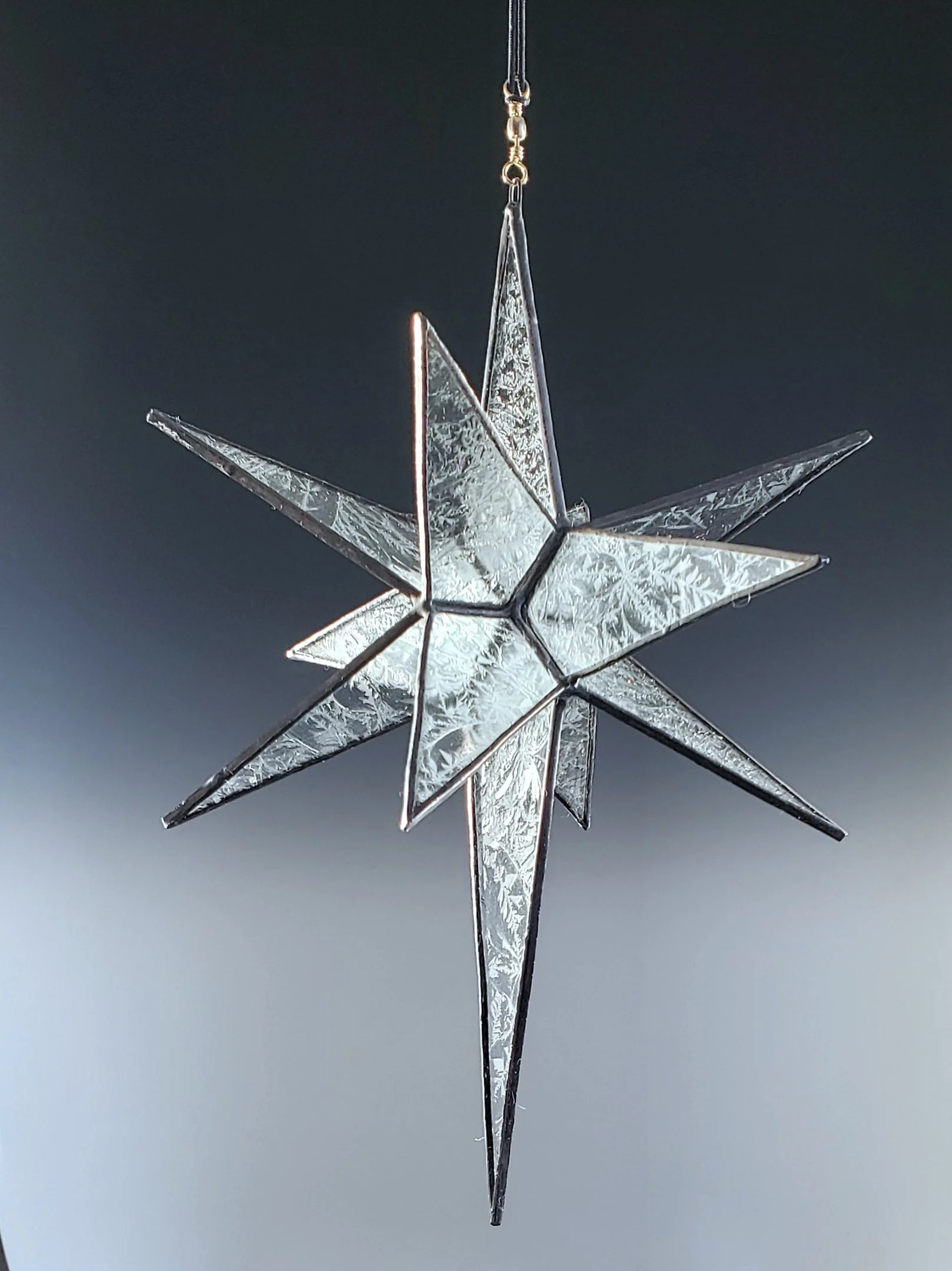 20260317_114643_star.jpg