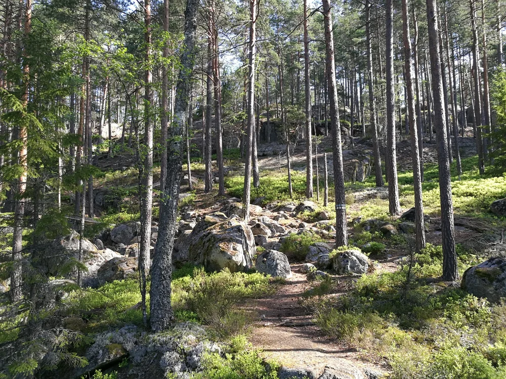 Tiveden_Nationalpark_2018_02.jpg