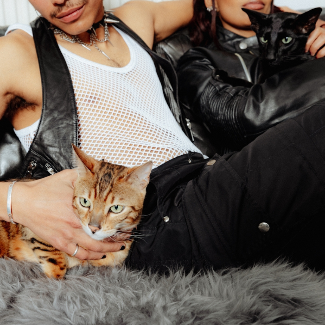 Queer Grief and Pet Loss: Mourning the Ones Who Loved You Unconditionally