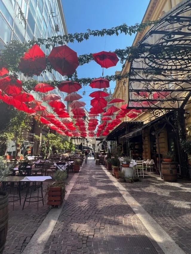 Belgrade neighborhoods