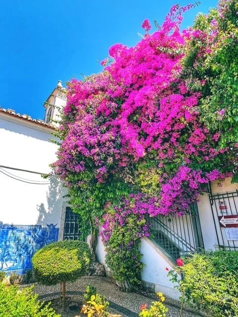  Lisbon miradouros  best viewpoints in Lisbon  Lisbon scenic overlooks  miradouros Lisbon guide  panoramic views Lisbon  Lisbon photography spots  where to watch the sunset Lisbon  Lisbon sightseeing tips  free things to do in Lisbon 