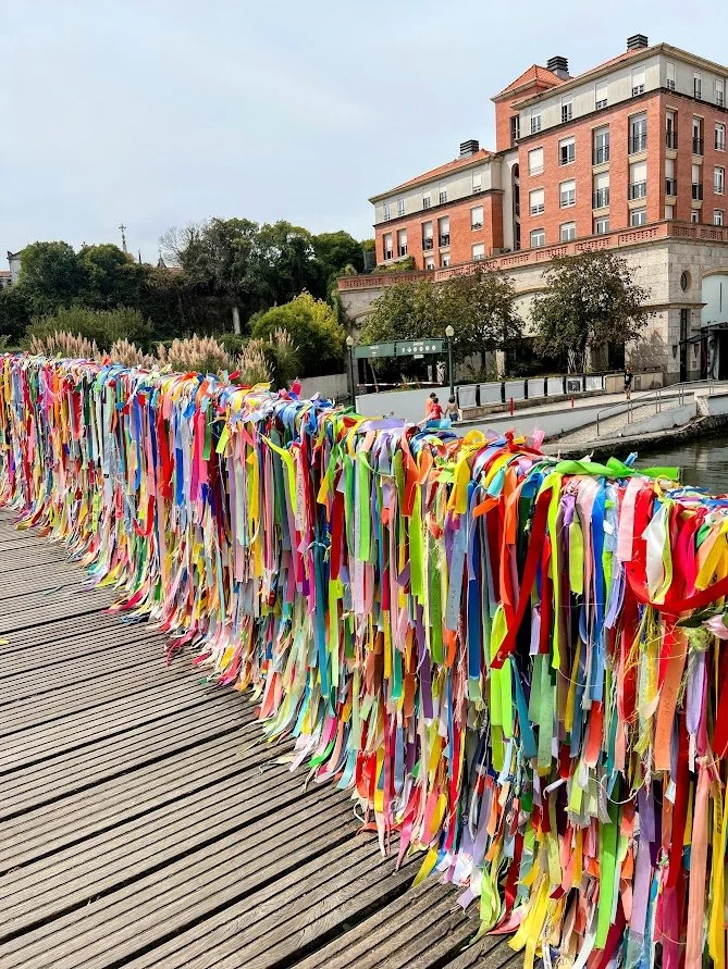 what to do in Aveiro.jpg