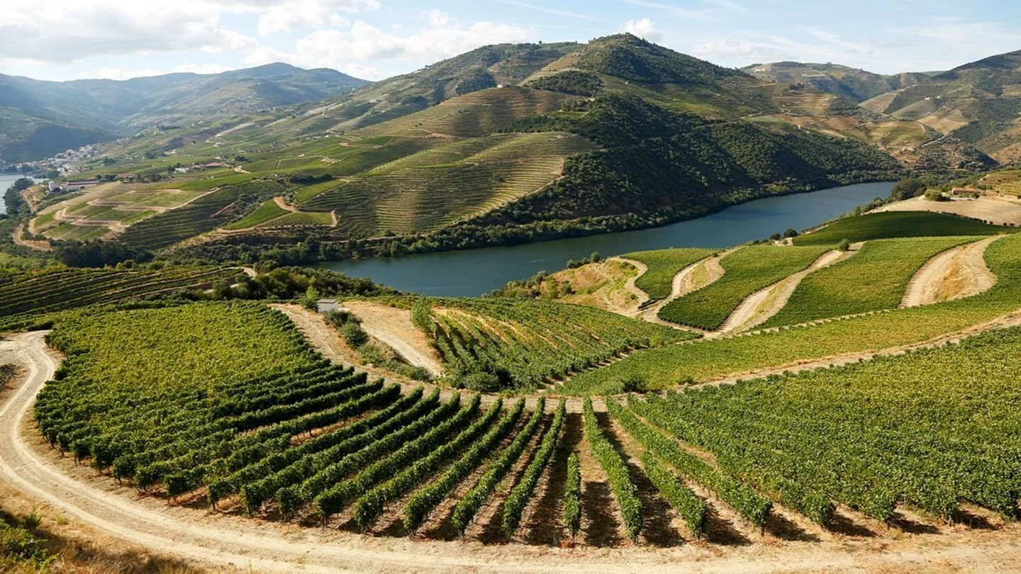 nicest hotel in douro valley.jpg