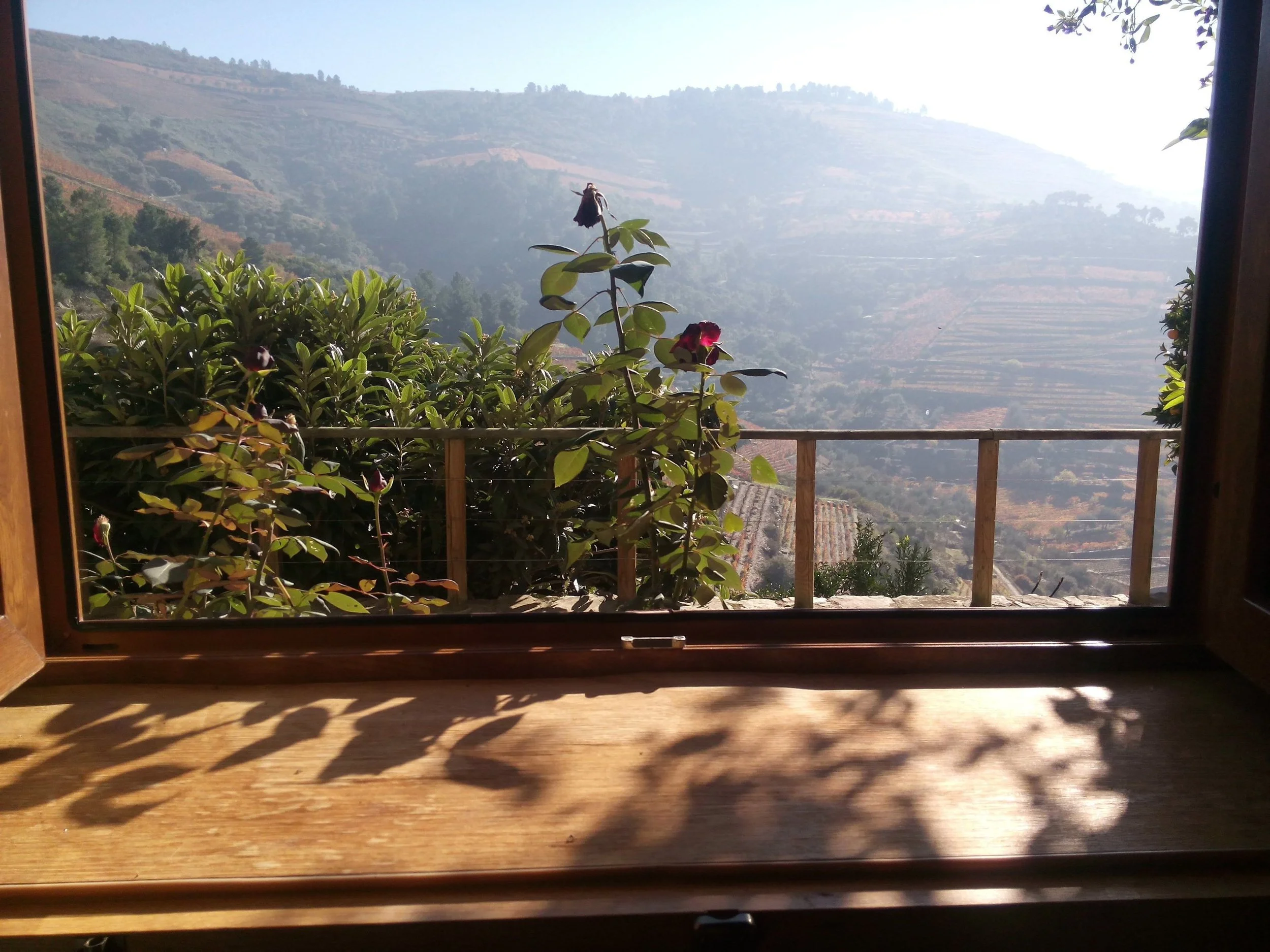 boutique hotel douro valley.jpg