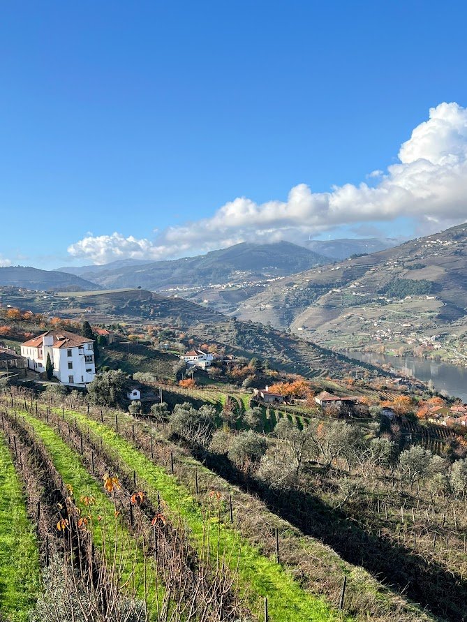 Best Douro valley day trip.jpg